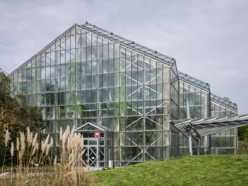 Osnabrück - Botanischer Garten - Tropenhaus 01
