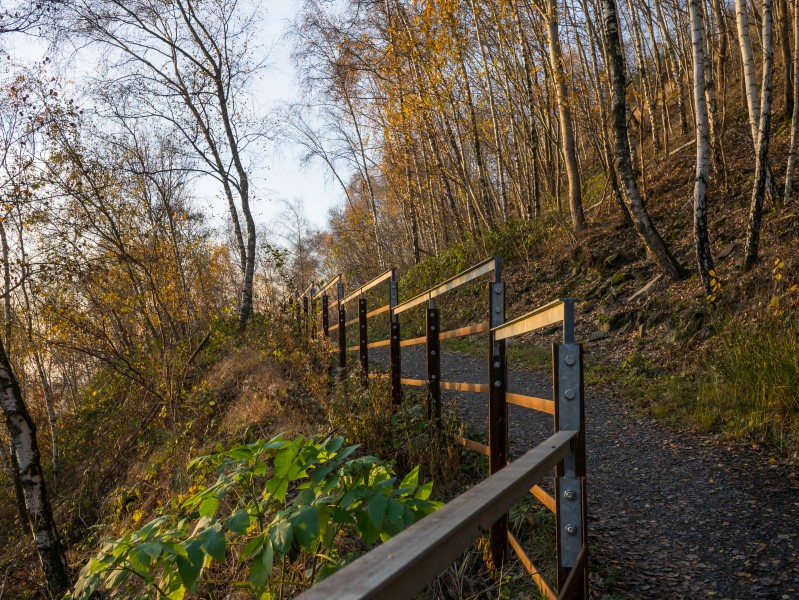 Osnabrück - Piesberg - Geländer 01