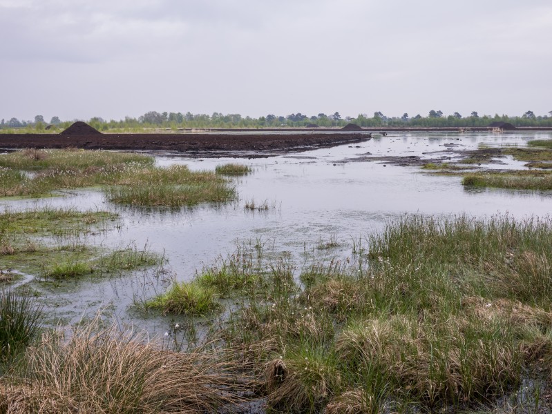 Ostercappeln - Venne - Venner Moor 02