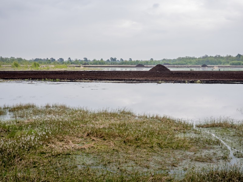 Ostercappeln - Venne - Venner Moor 03