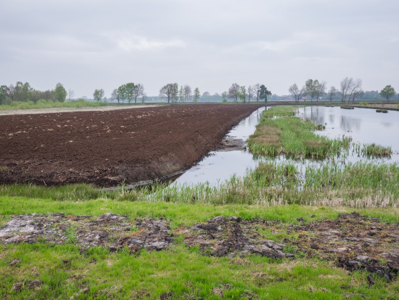 Ostercappeln - Venne - Venner Moor 06