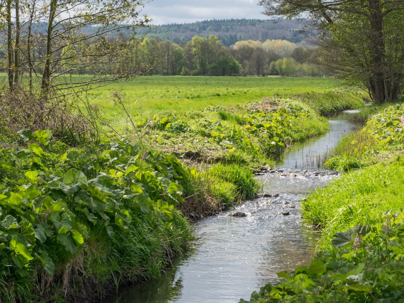 Ostercappeln - Venner Mühlenbach 01