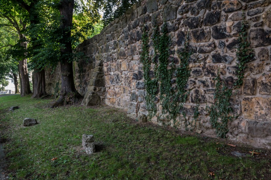 Recklinghausen, Stadtmauer -- 2015 -- 7375