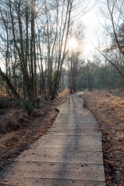 Senden, Venner Moor -- 2016 -- 5870-6