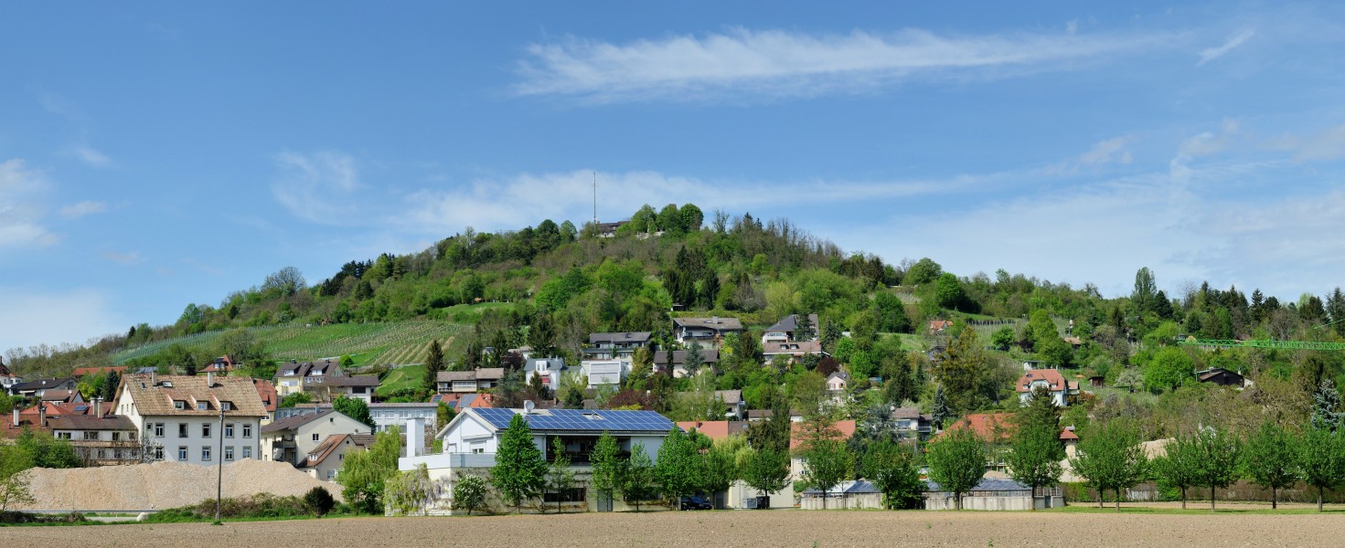 Tüllinger Berg