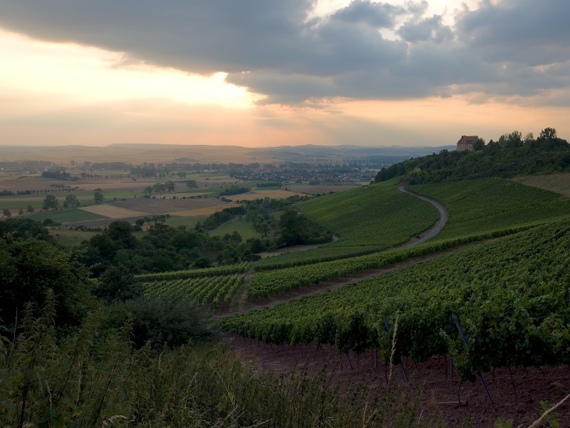 Weinberg-Ipsheim-BurgHoheneck SK 0001