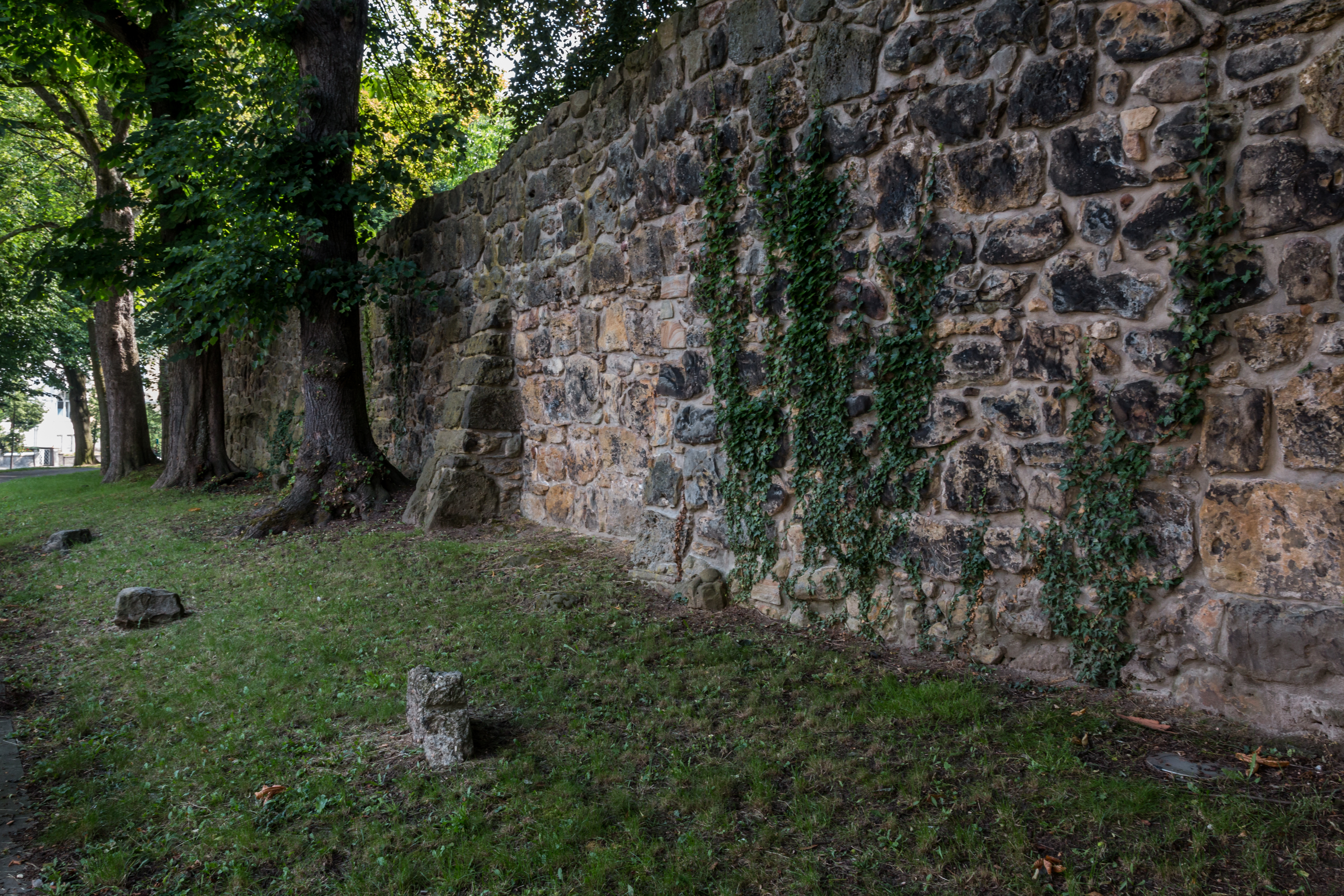 Recklinghausen, Stadtmauer -- 2015 -- 7375