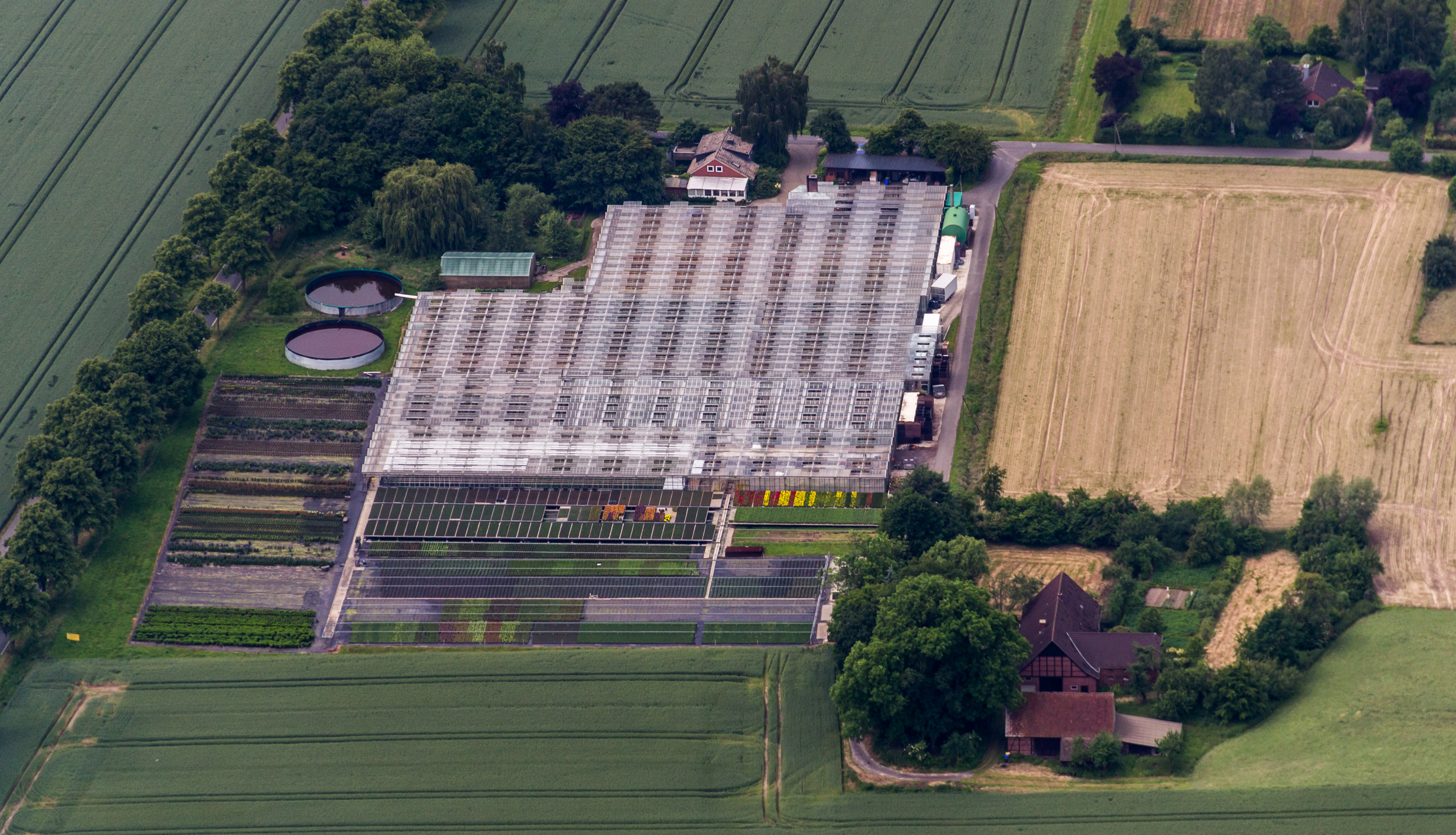 Senden, Baumschule Klabautschke -- 2014 -- 9902 -- Ausschnitt