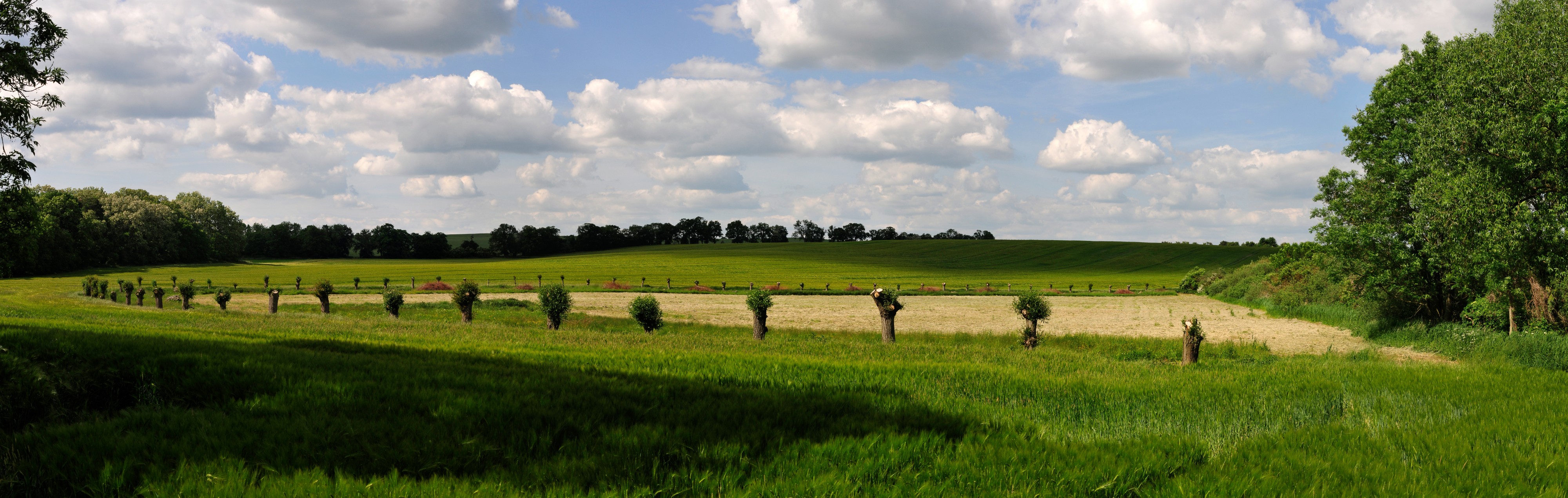 12-05-28-biesenbrow-by-RalfR-54