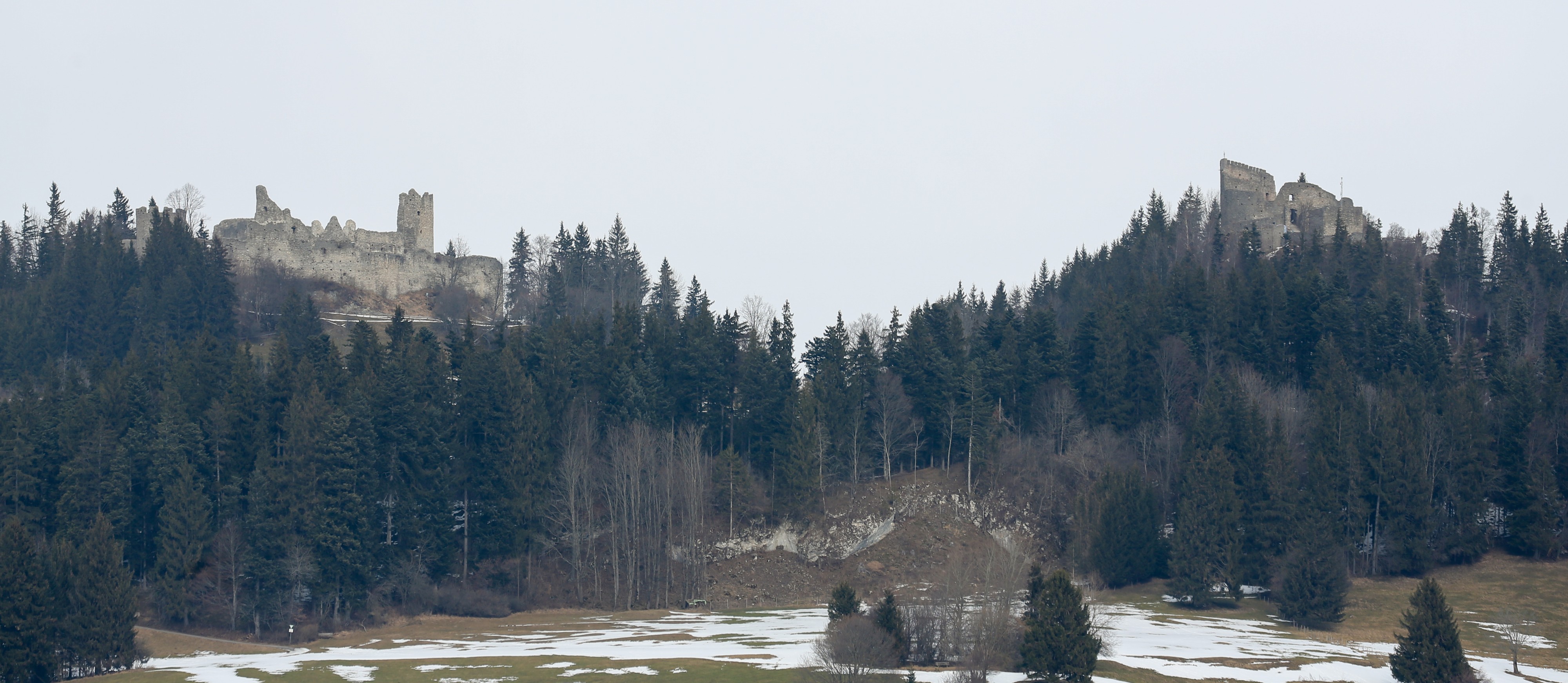 Castillos Hohenfreyberg y Eisenberg, Eisenberg, Alemania, 2015-02-15, DD 47