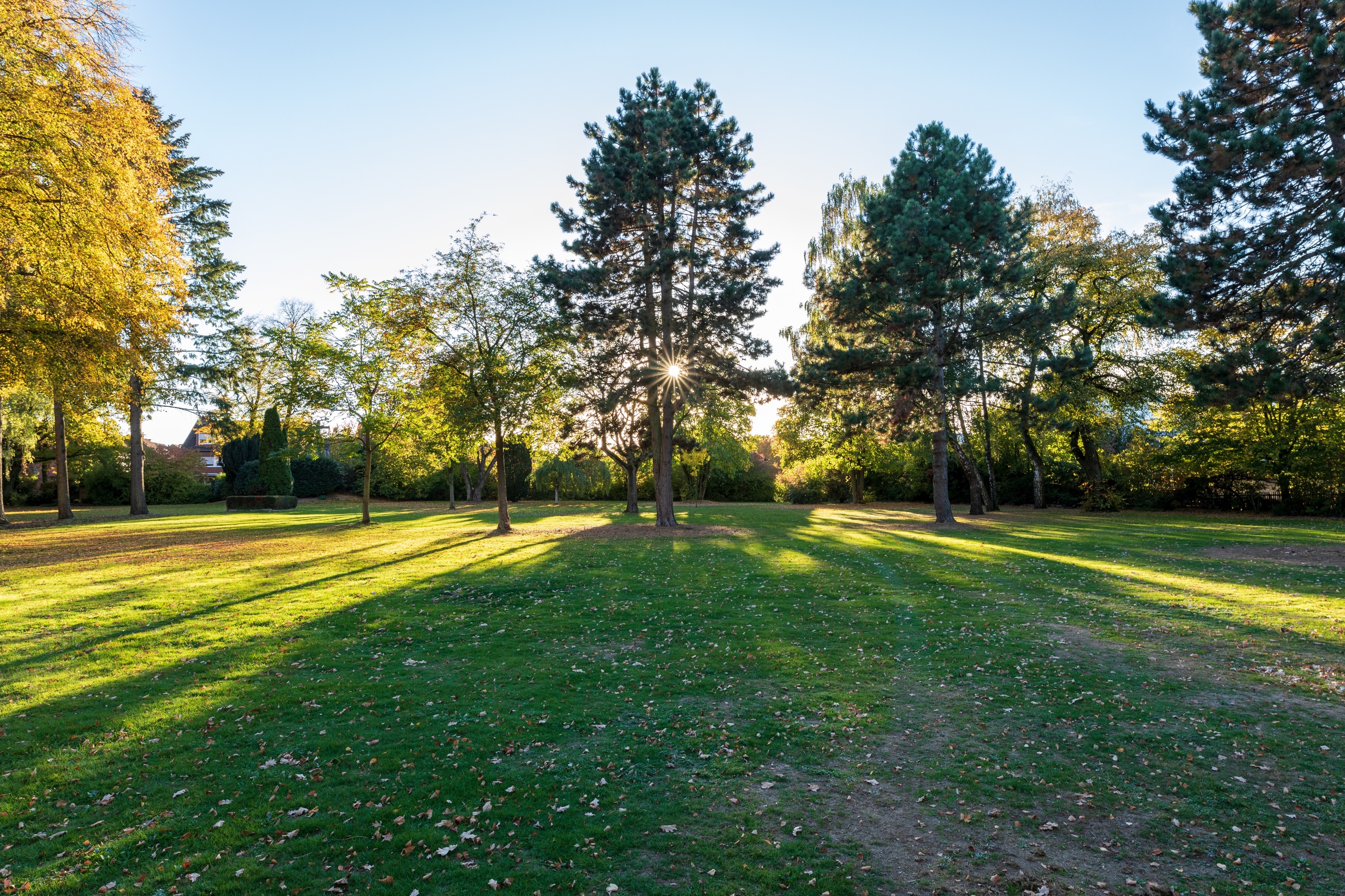 Dülmen, Mühlenwegfriedhof -- 2018 -- 1511