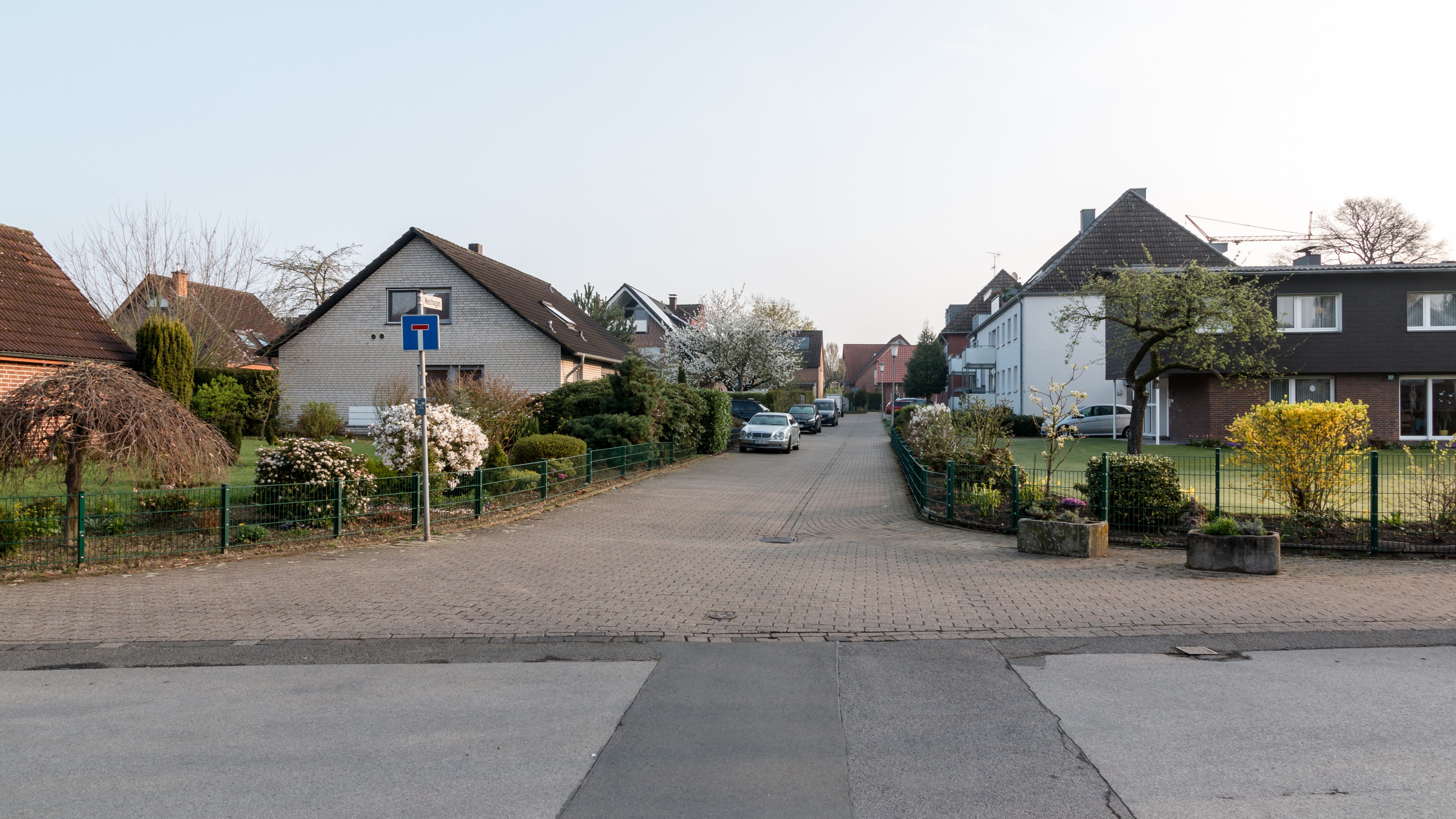 Dülmen, Westhagen -- 2017 -- 9379