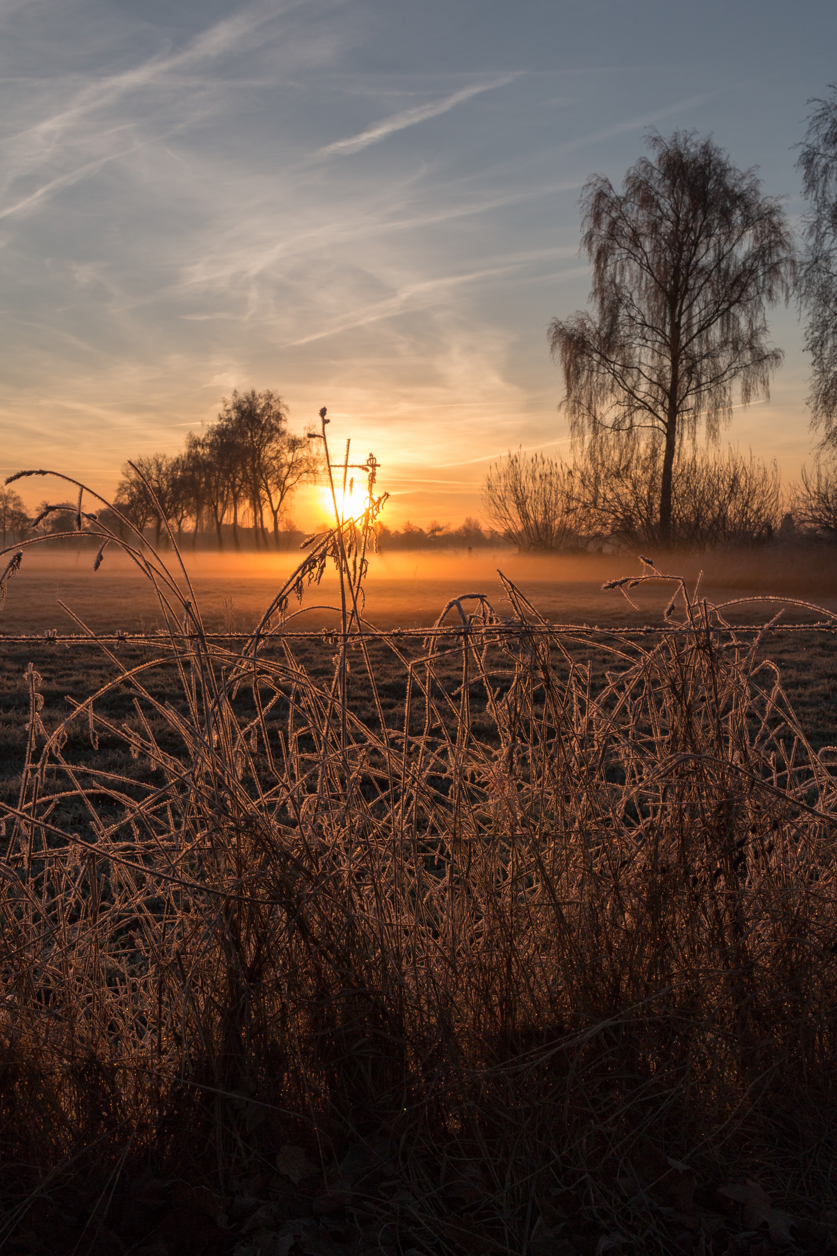 Dülmen, Wiese am Strandbadweg -- 2016 -- 5710