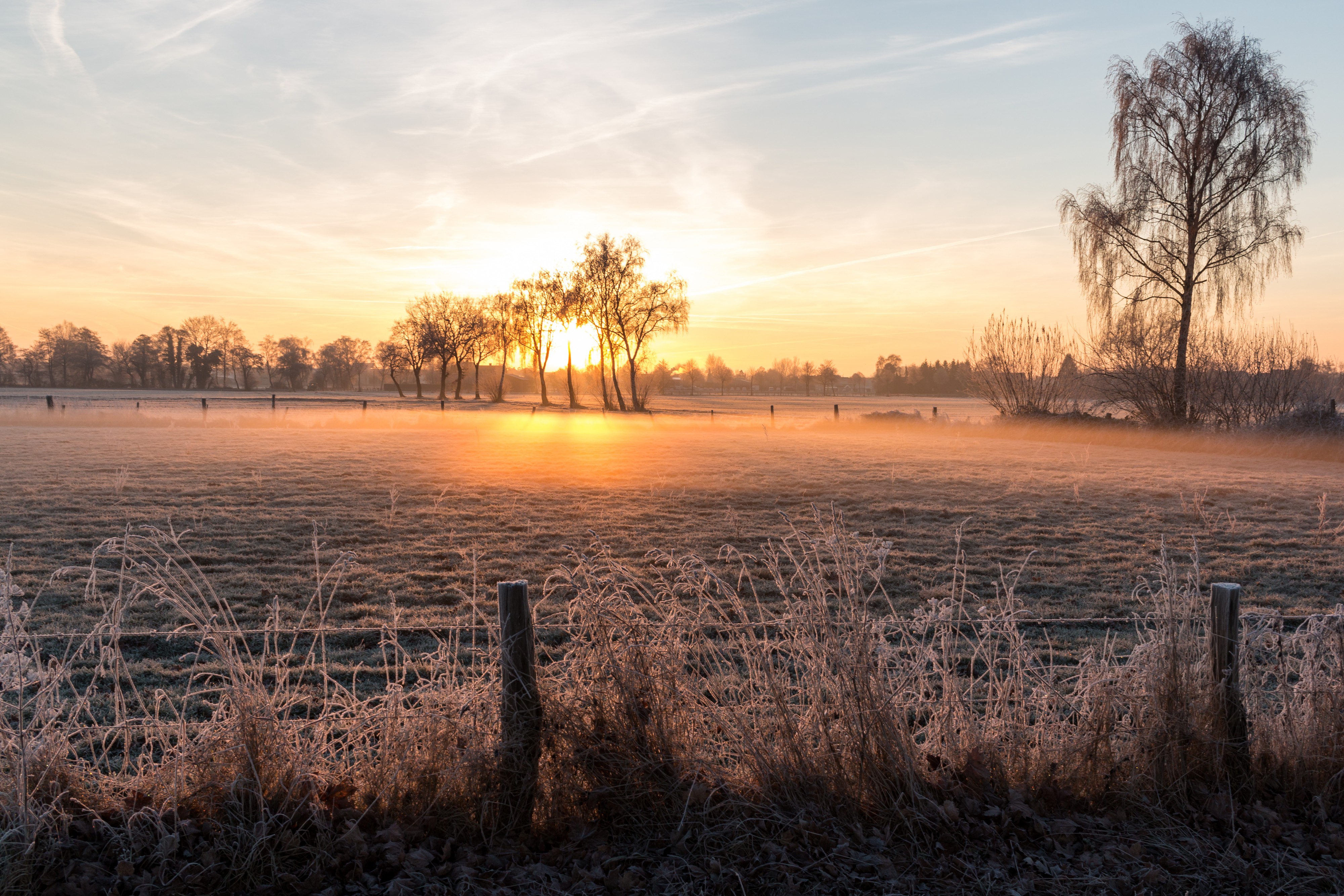Dülmen, Wiese am Strandbadweg -- 2016 -- 5714