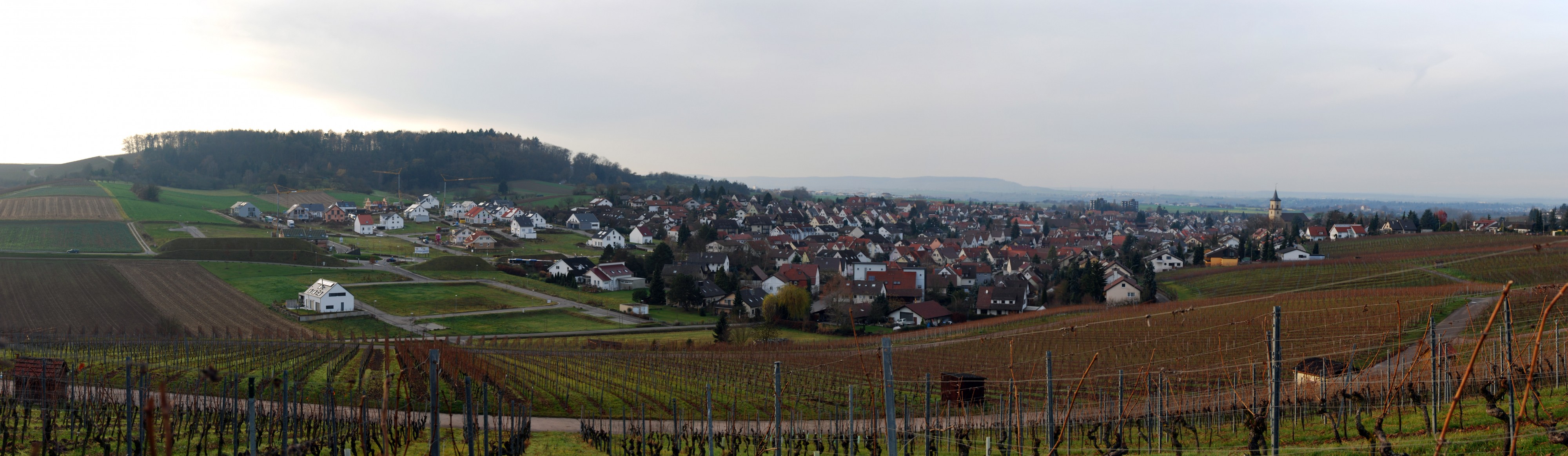 Flein Panorama