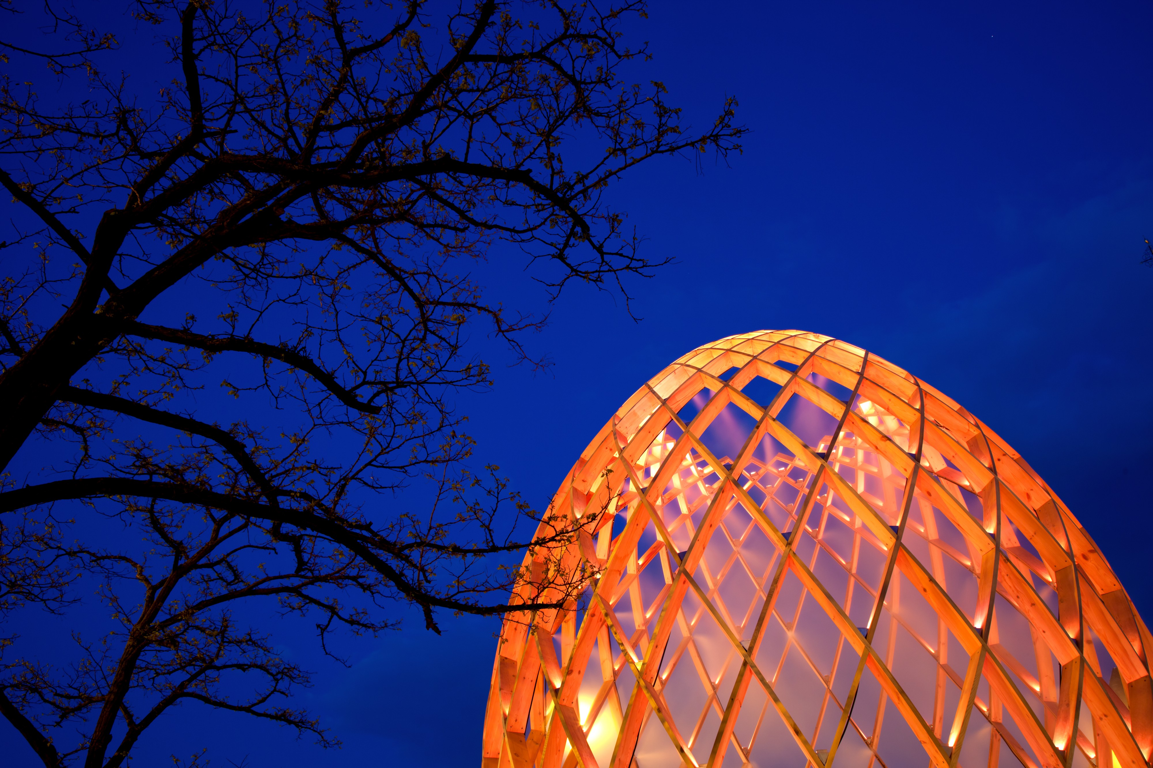 Luminale 2012 - OVO mit Baum