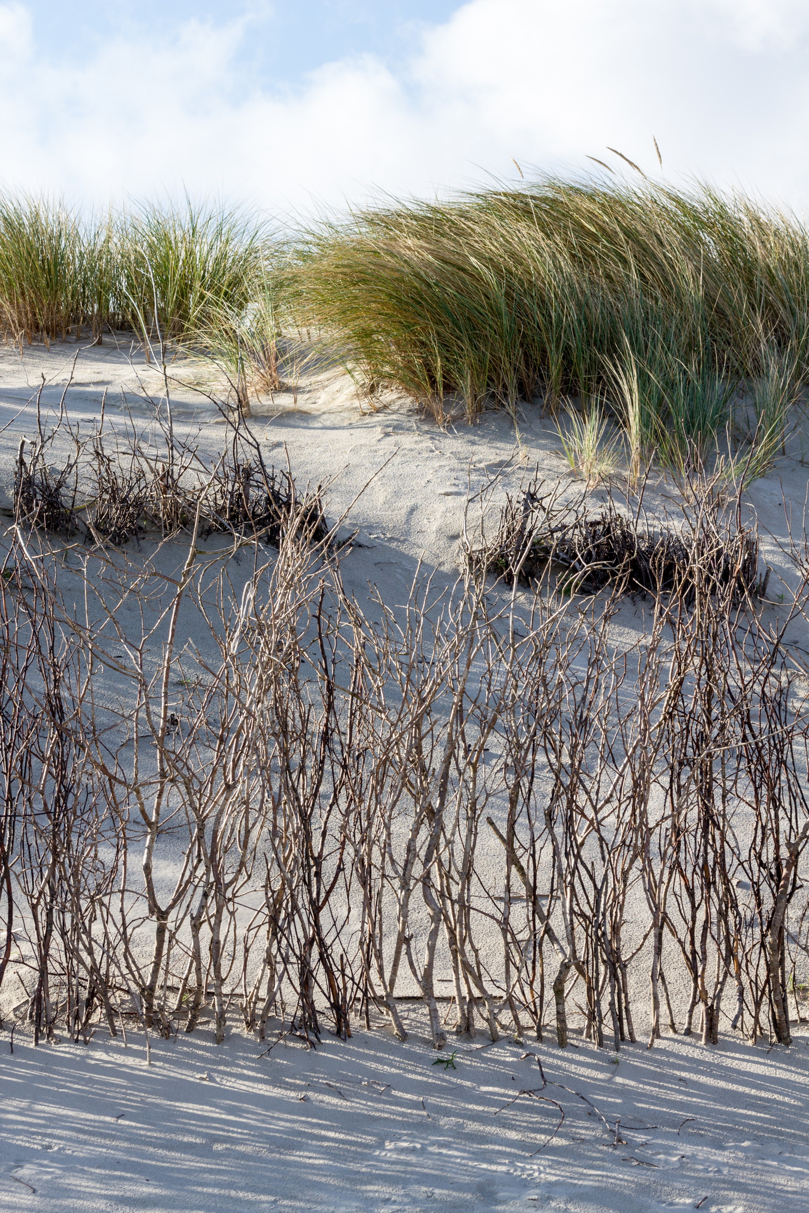Norderney, Weisse Düne -- 2016 -- 4771