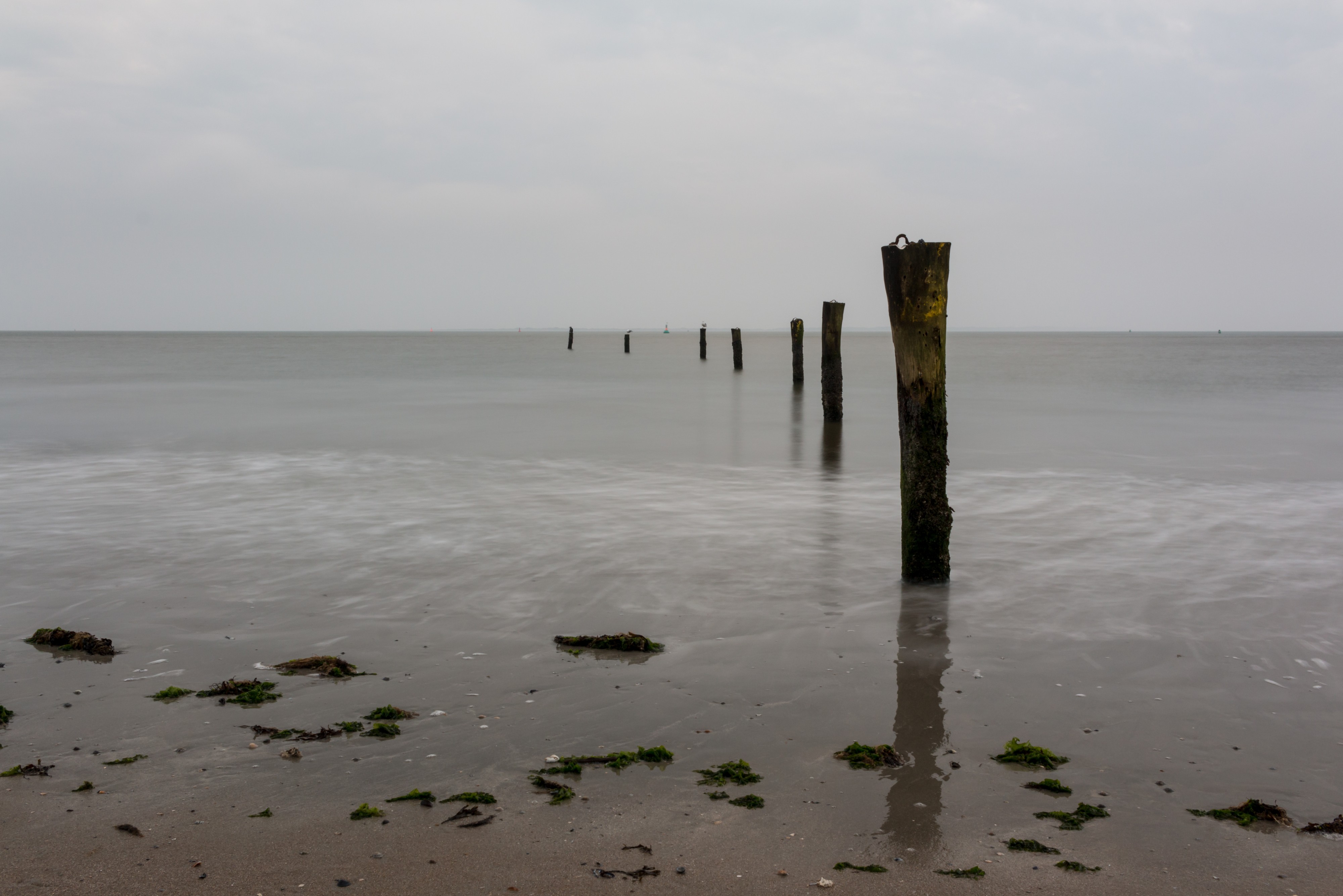 Norderney, Weststrand -- 2016 -- 5160
