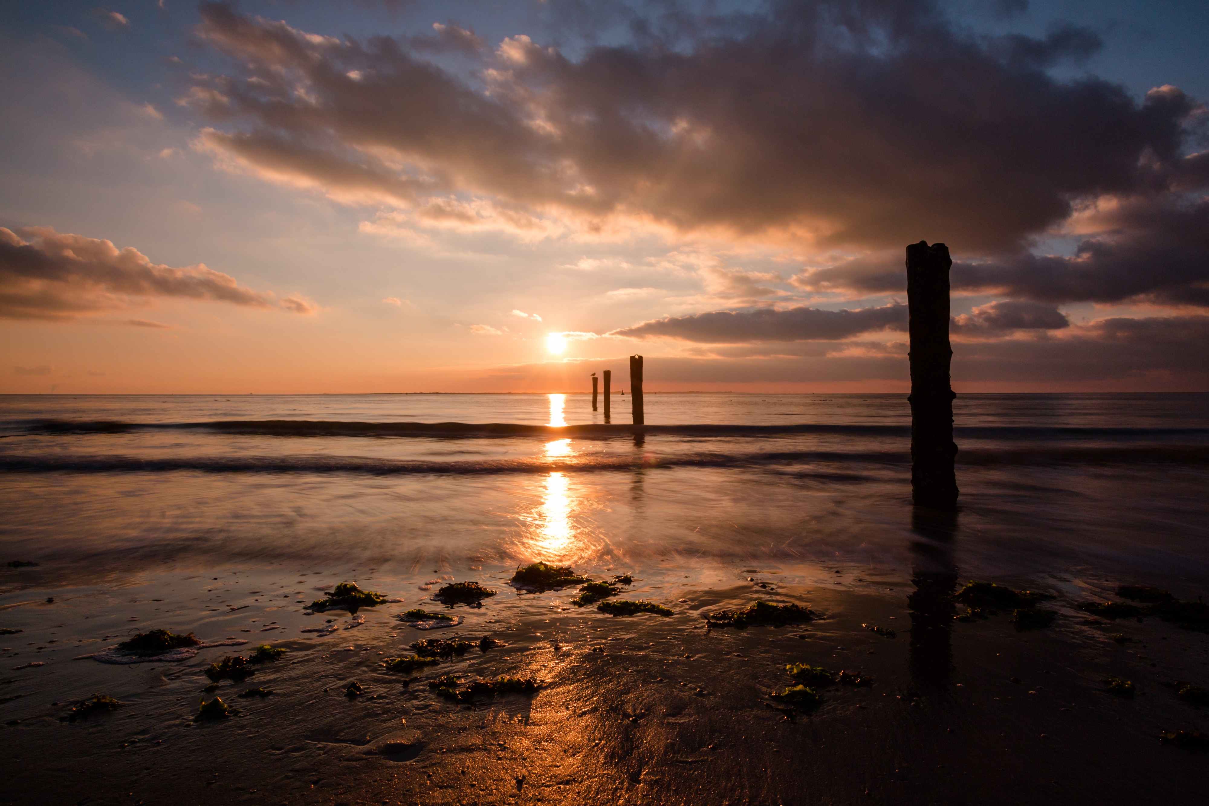 Norderney, Weststrand -- 2016 -- 5197