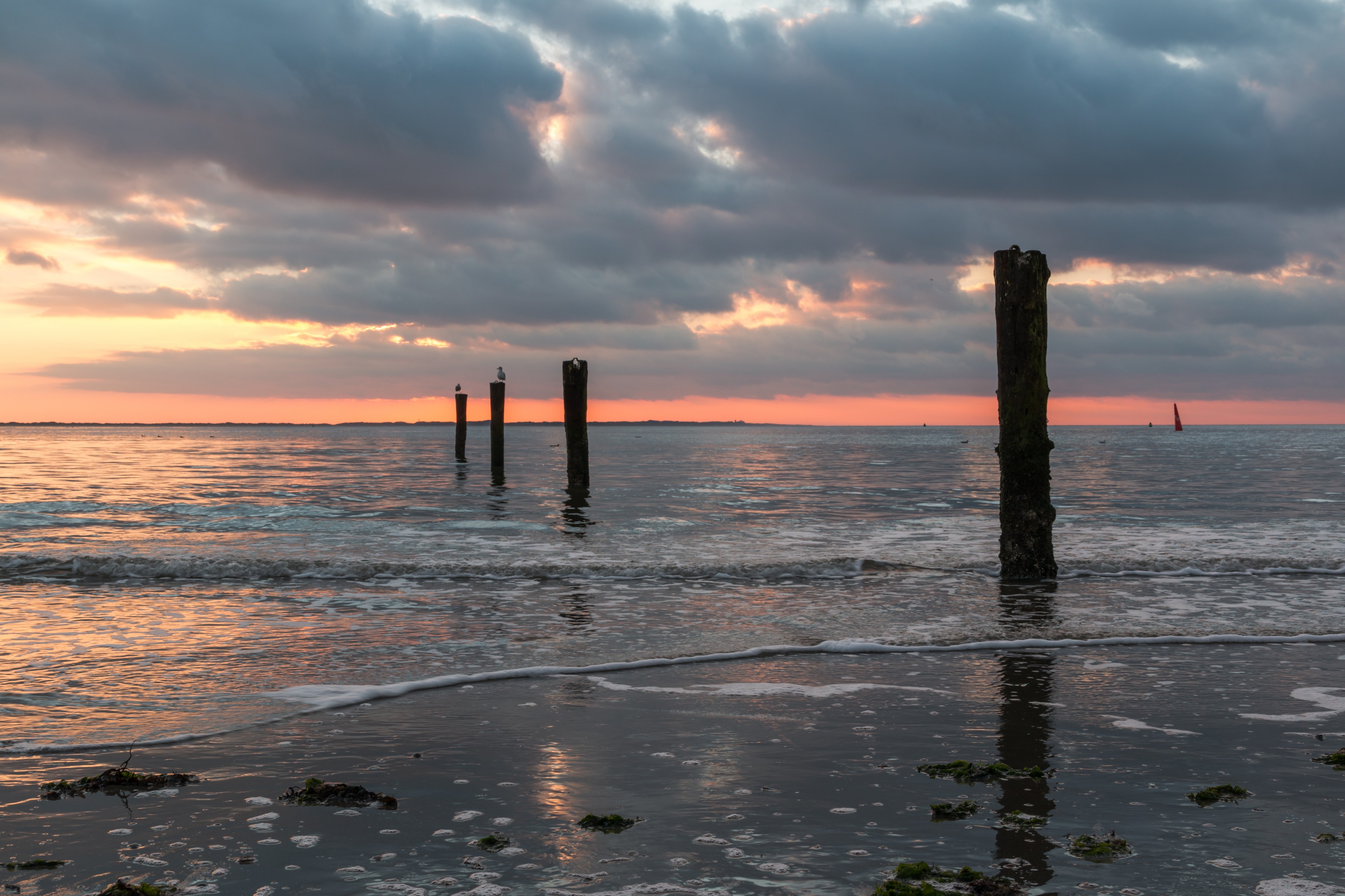 Norderney, Weststrand -- 2016 -- 5223