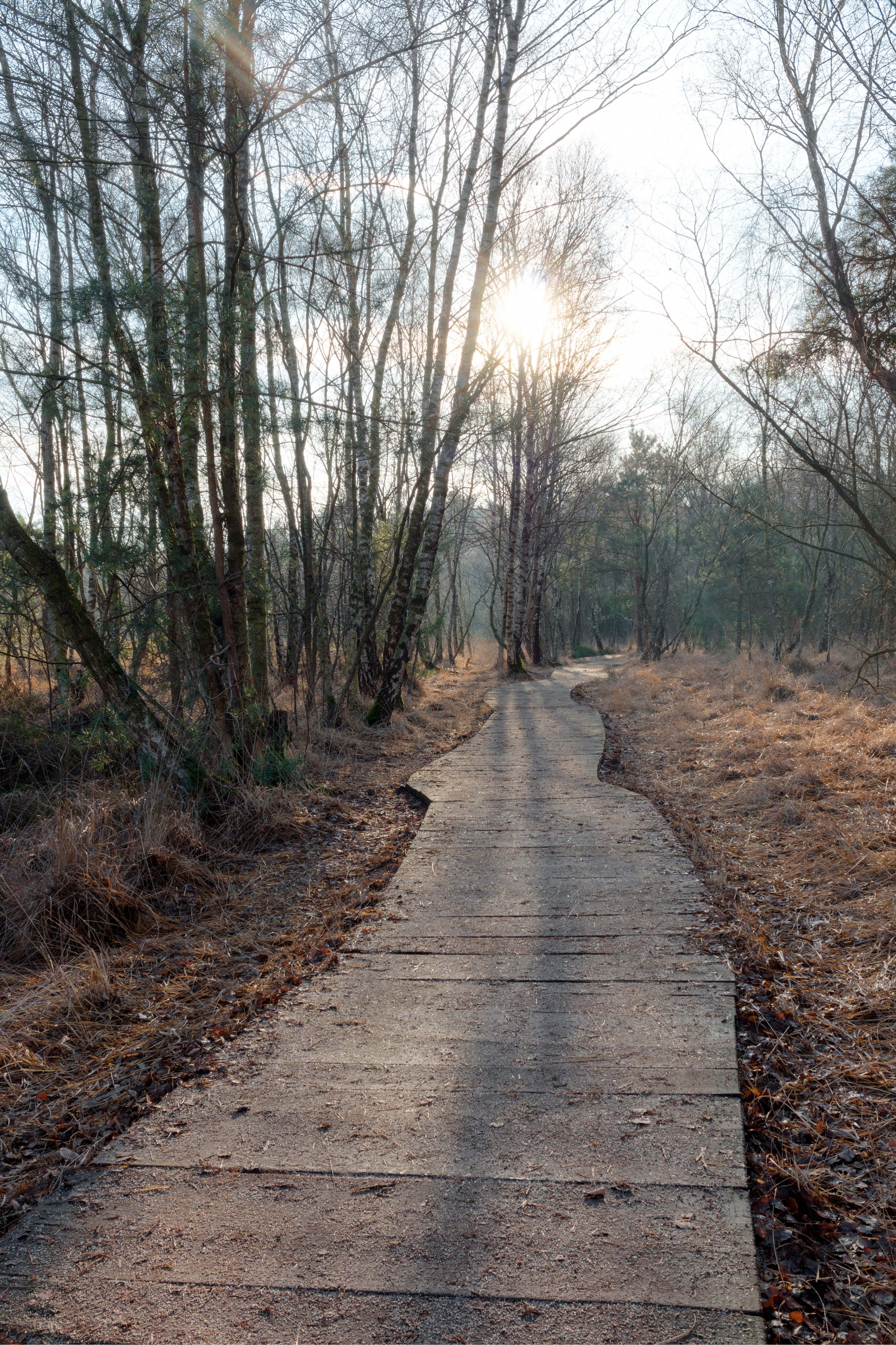 Senden, Venner Moor -- 2016 -- 5870-6