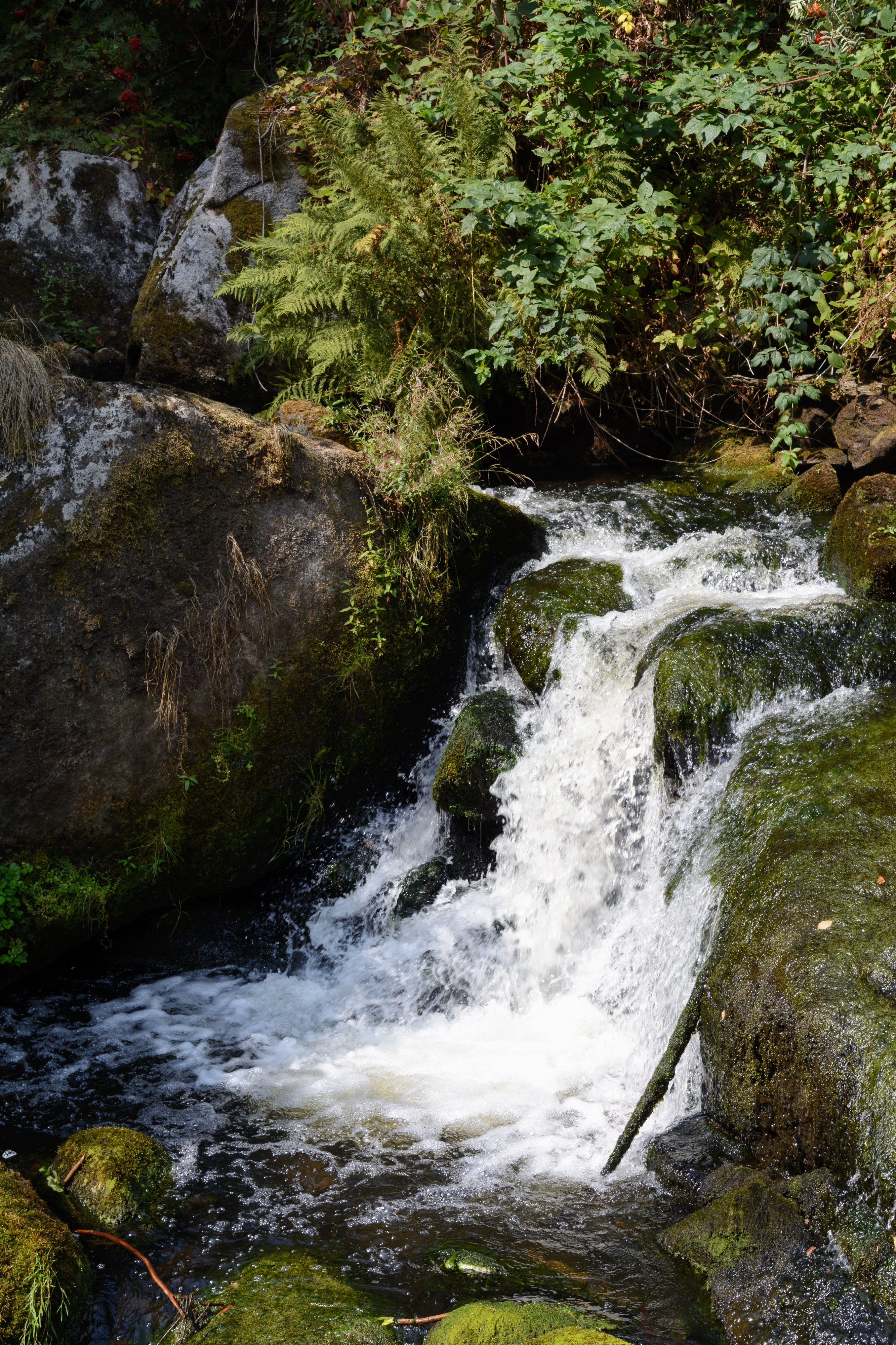 Triberger Wasserfälle 20180806 05