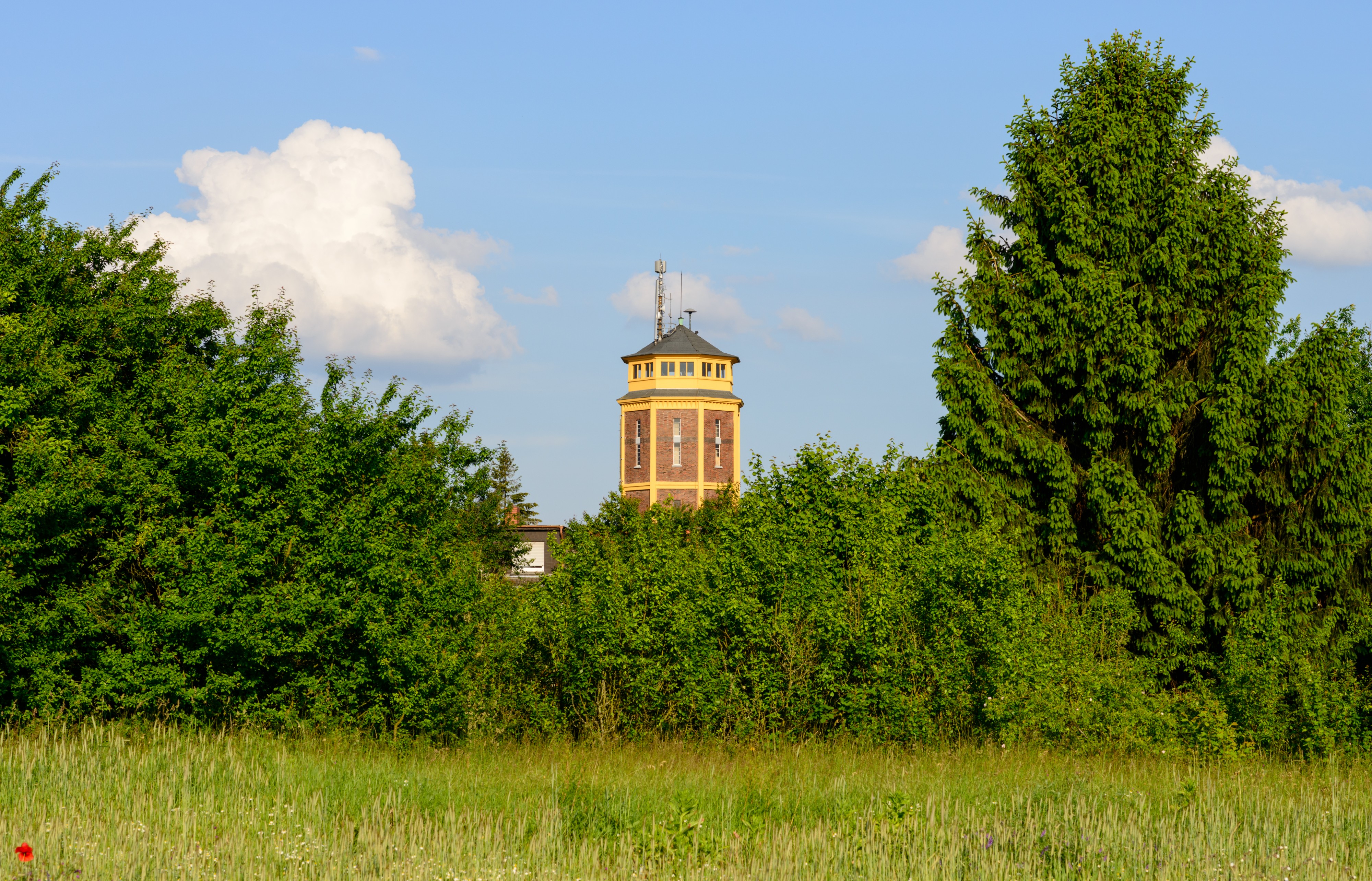 Wasserturm Mörfelden - Mörfelden-Walldorf - water tower - château d'eau - 09