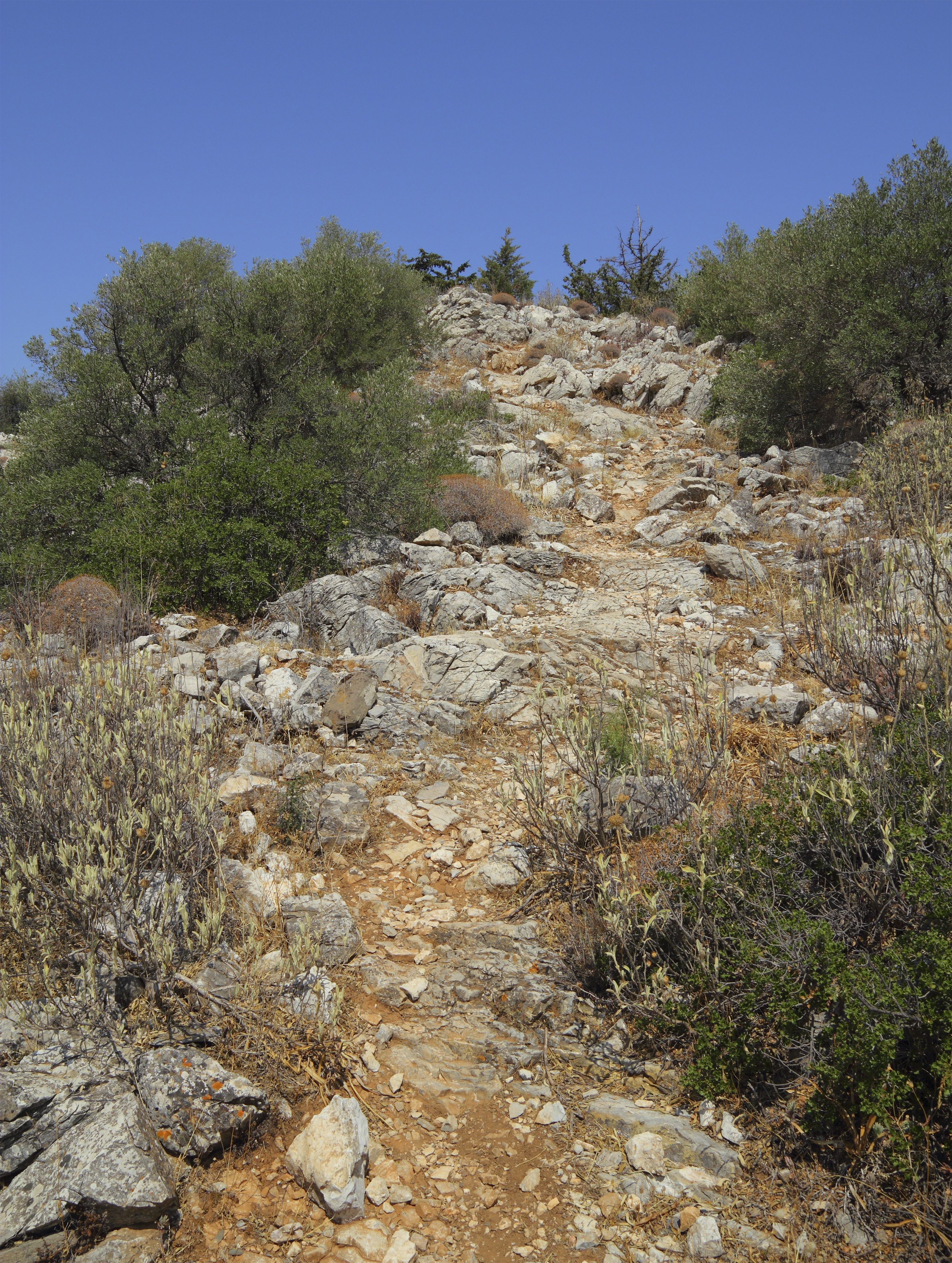 Attica 06-13 Hills of Hymettus 19 Kalogeros
