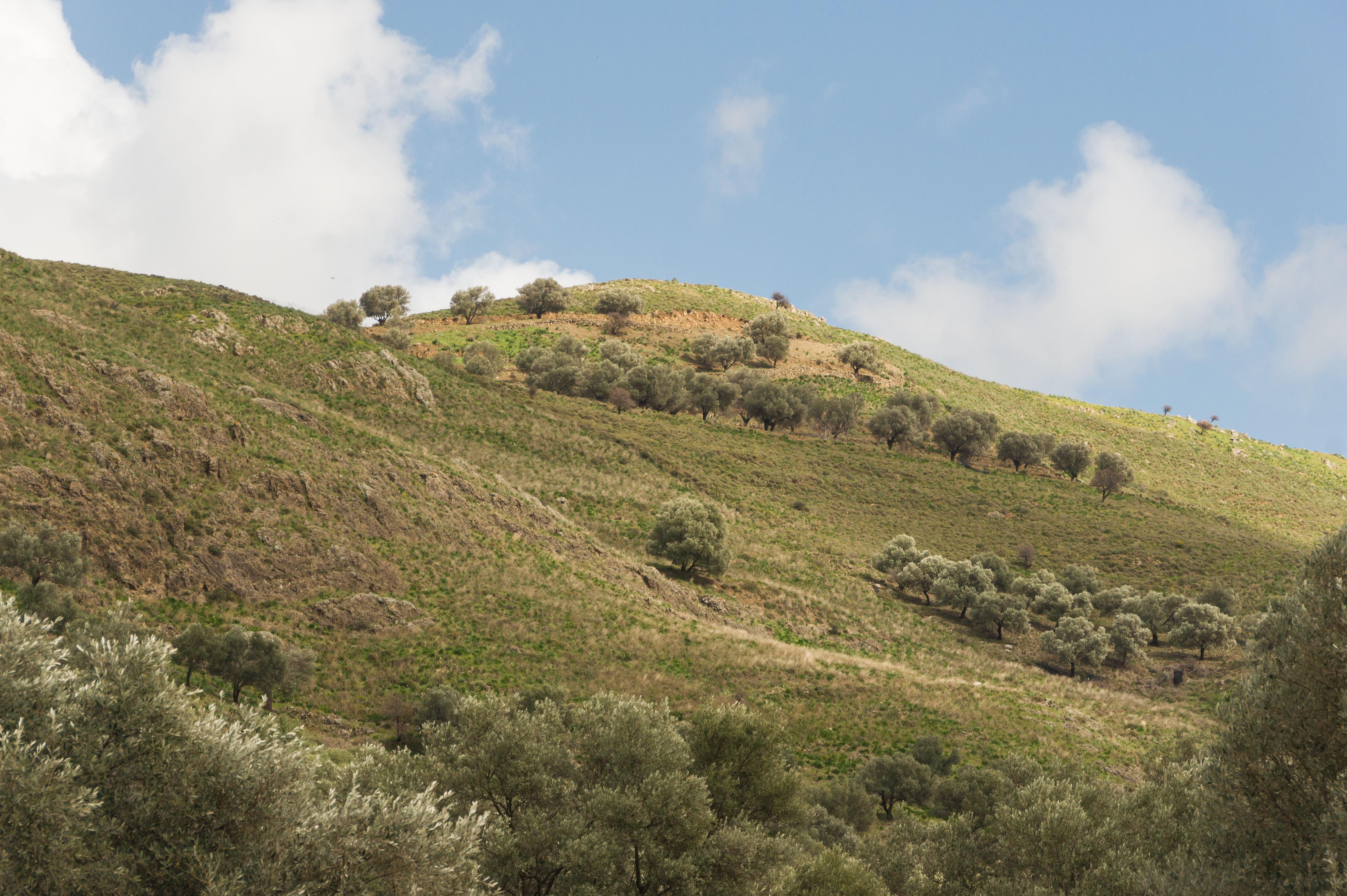 Colline Gortyne