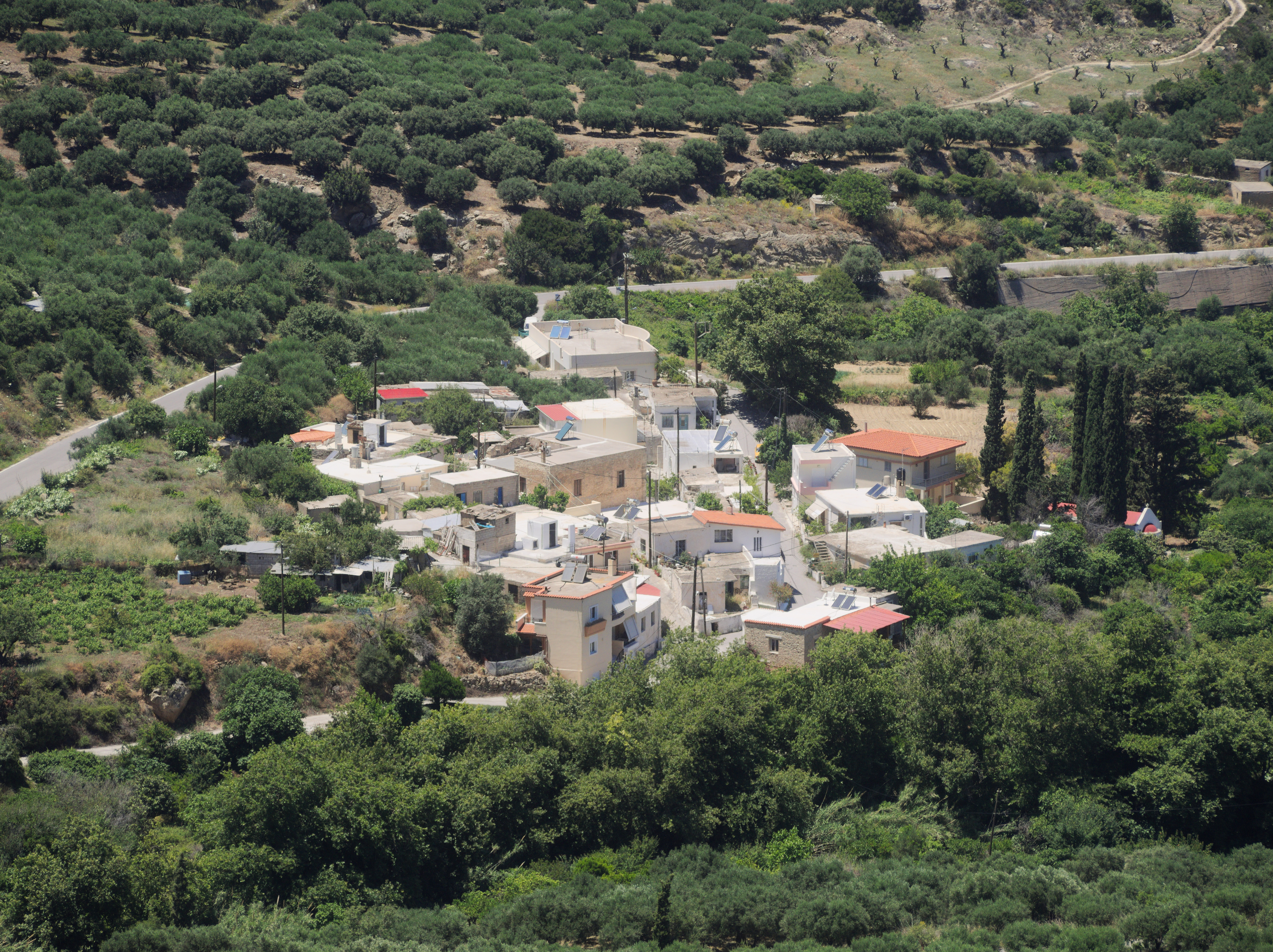 Ζου 0455