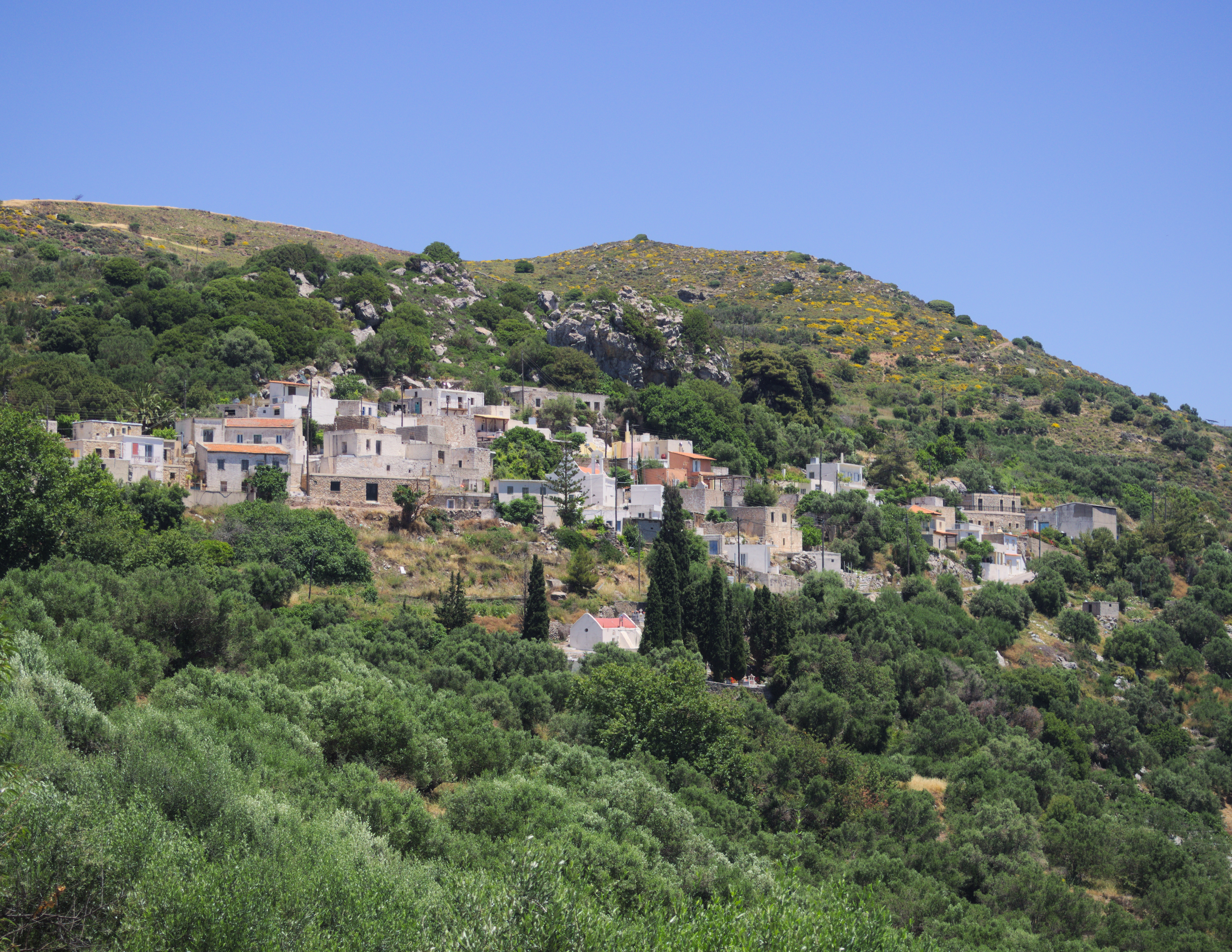 Κατσιδώνι 0454
