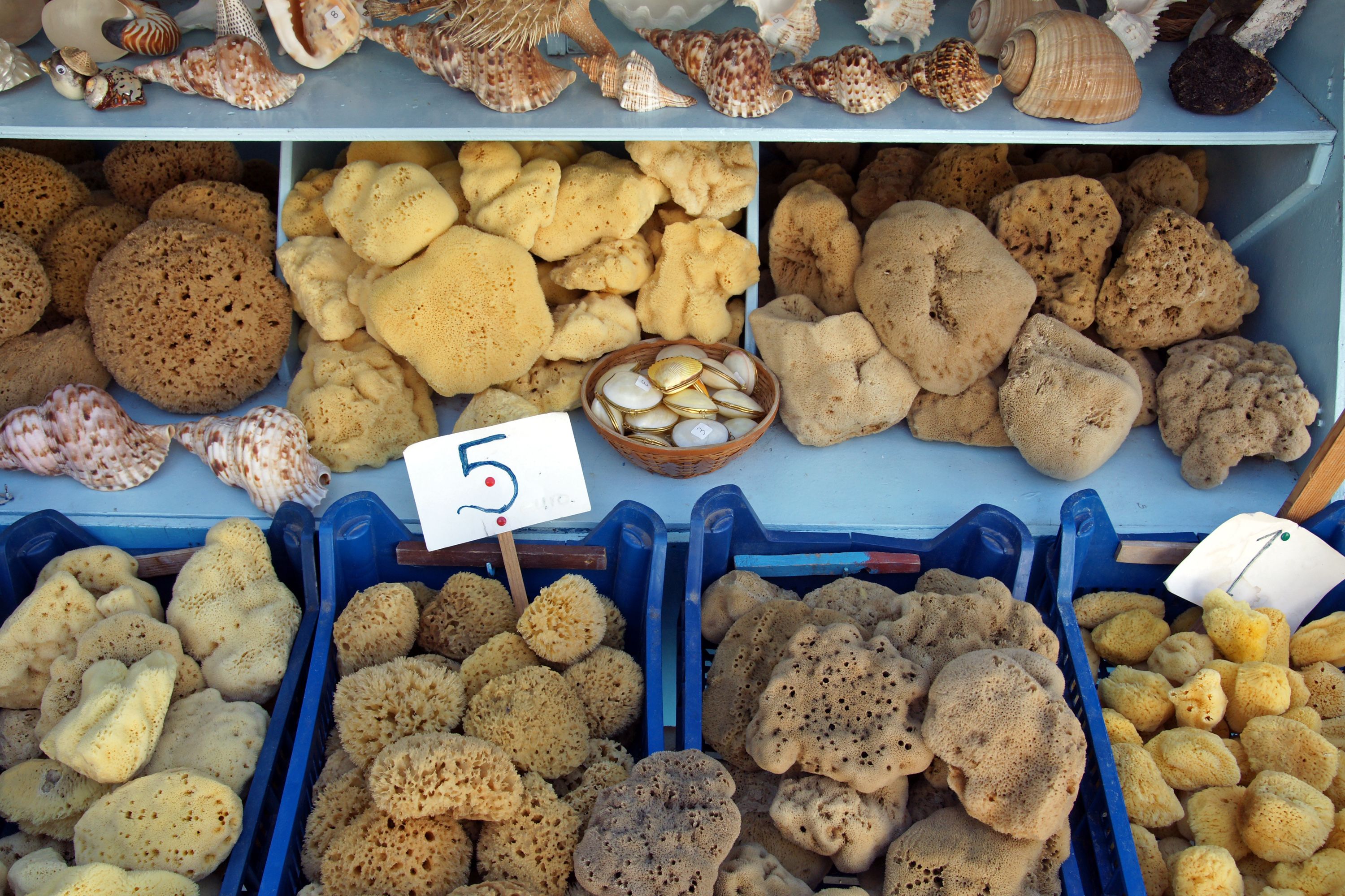 Kalymnos sponges 1