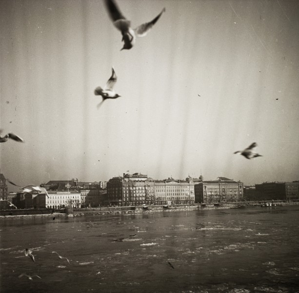 Budapest V., Pesti Duna-part az Eötvös tér és a Vigadó tér között a Lánchídról nézve, 1939-ben. Fortepan 92254