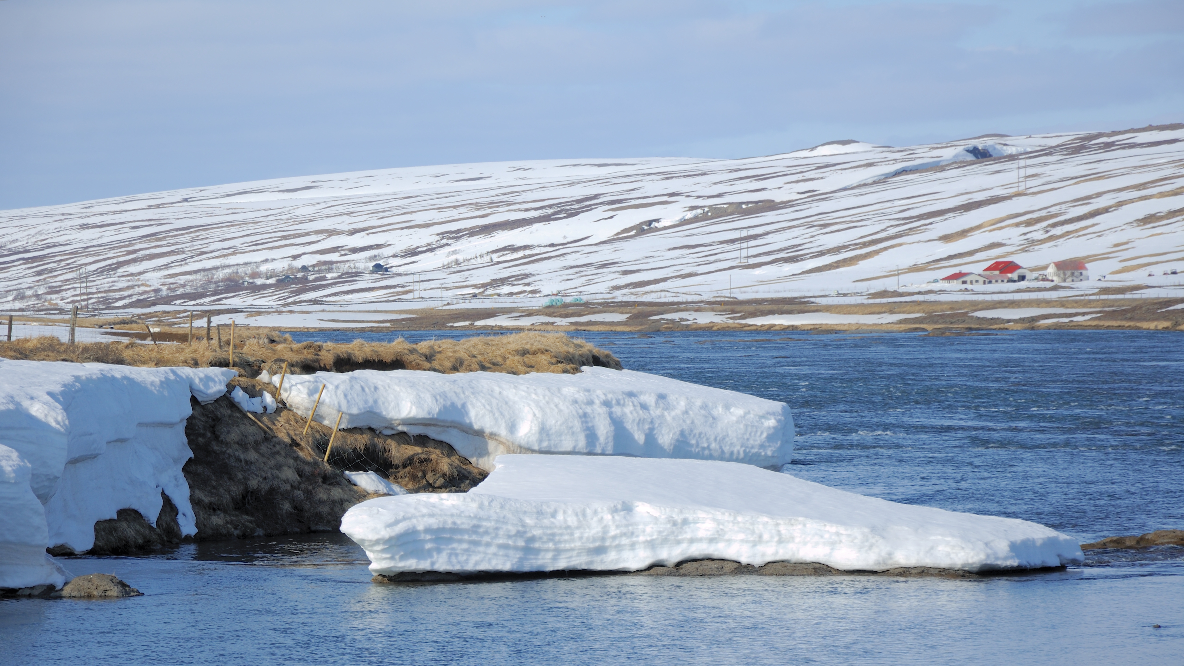 2014-04-30 16-39-27 Iceland - Fosshólli Stafn
