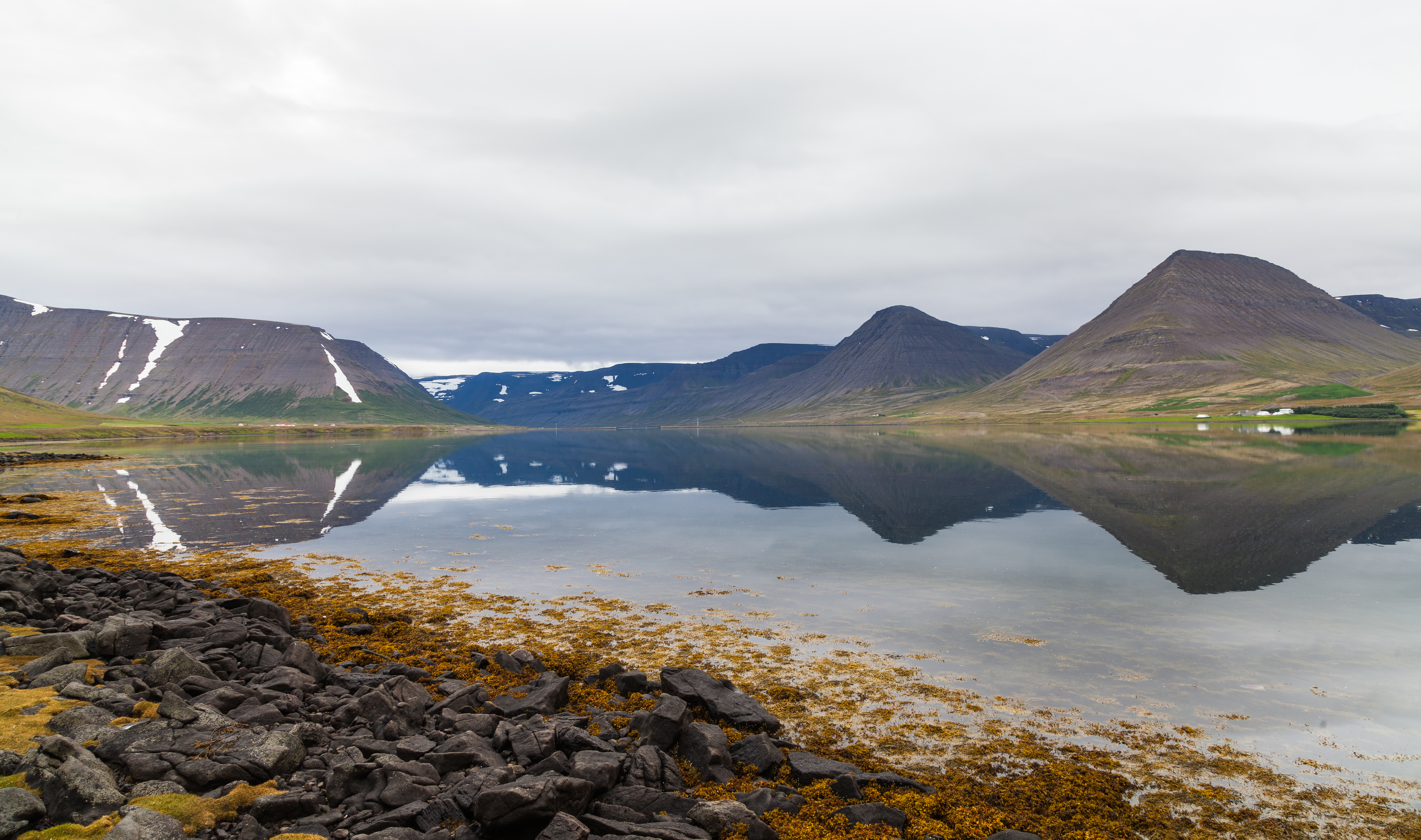 Dýrafjörður, Vestfirðir, Islandia, 2014-08-15, DD 041