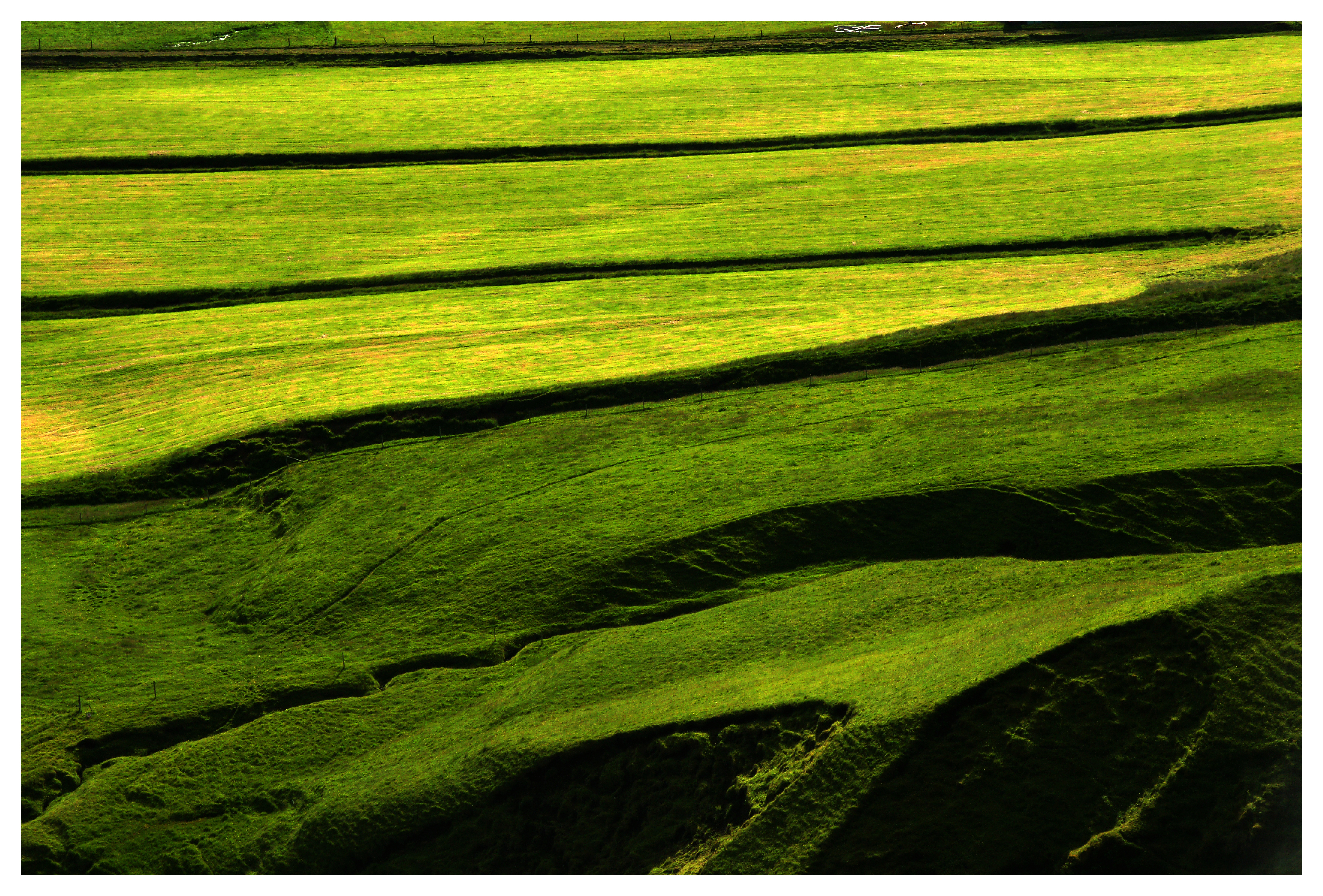 Green Iceland II (20188913400)