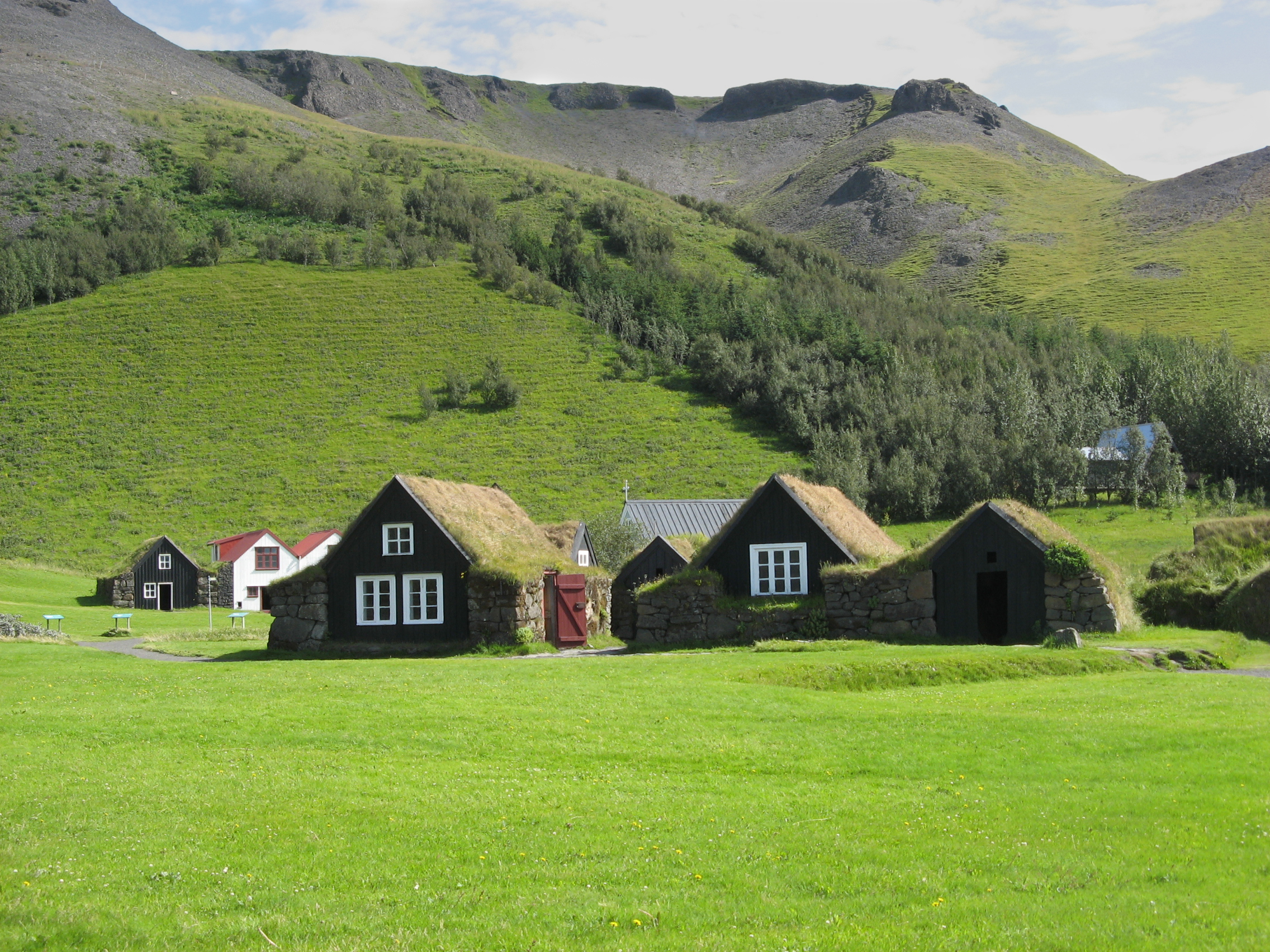 Houses with grass on the roof