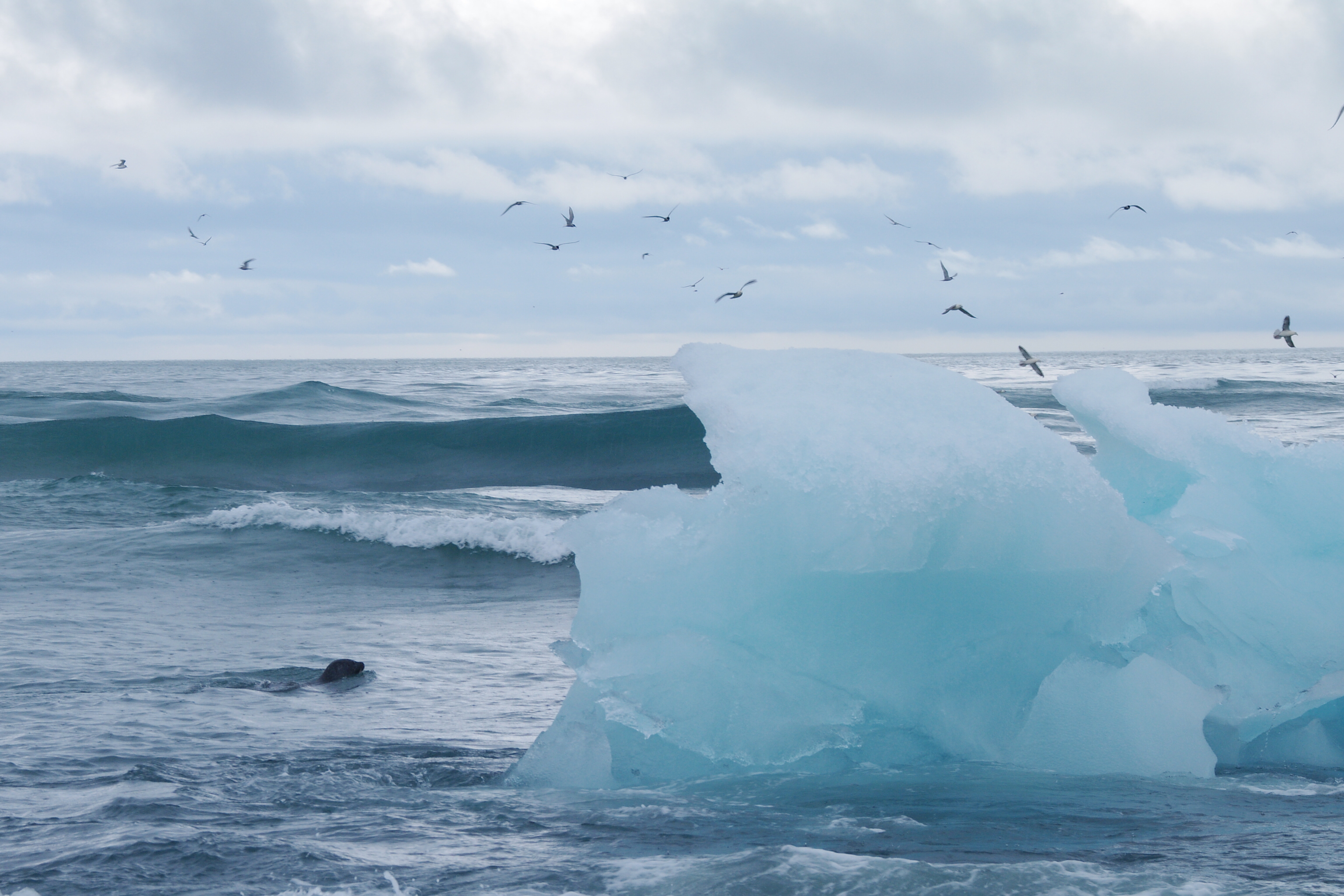 Iceberg Islande 14-08-09