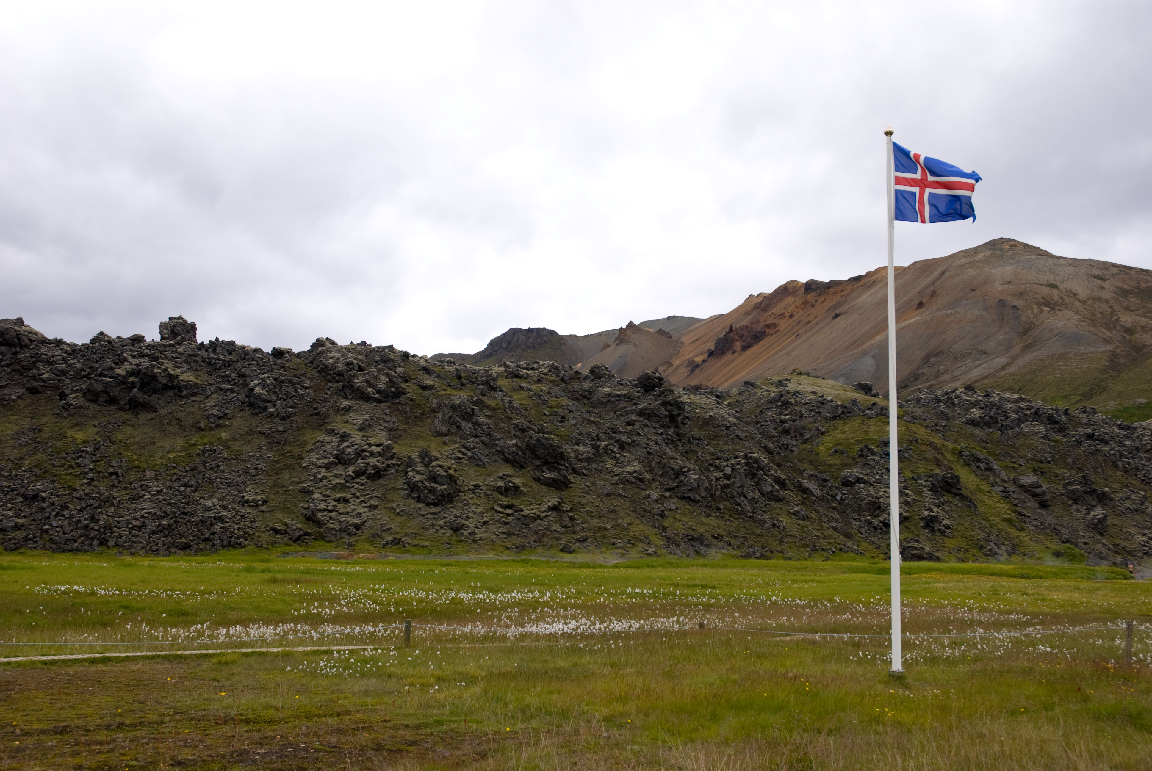 Icelandic flag