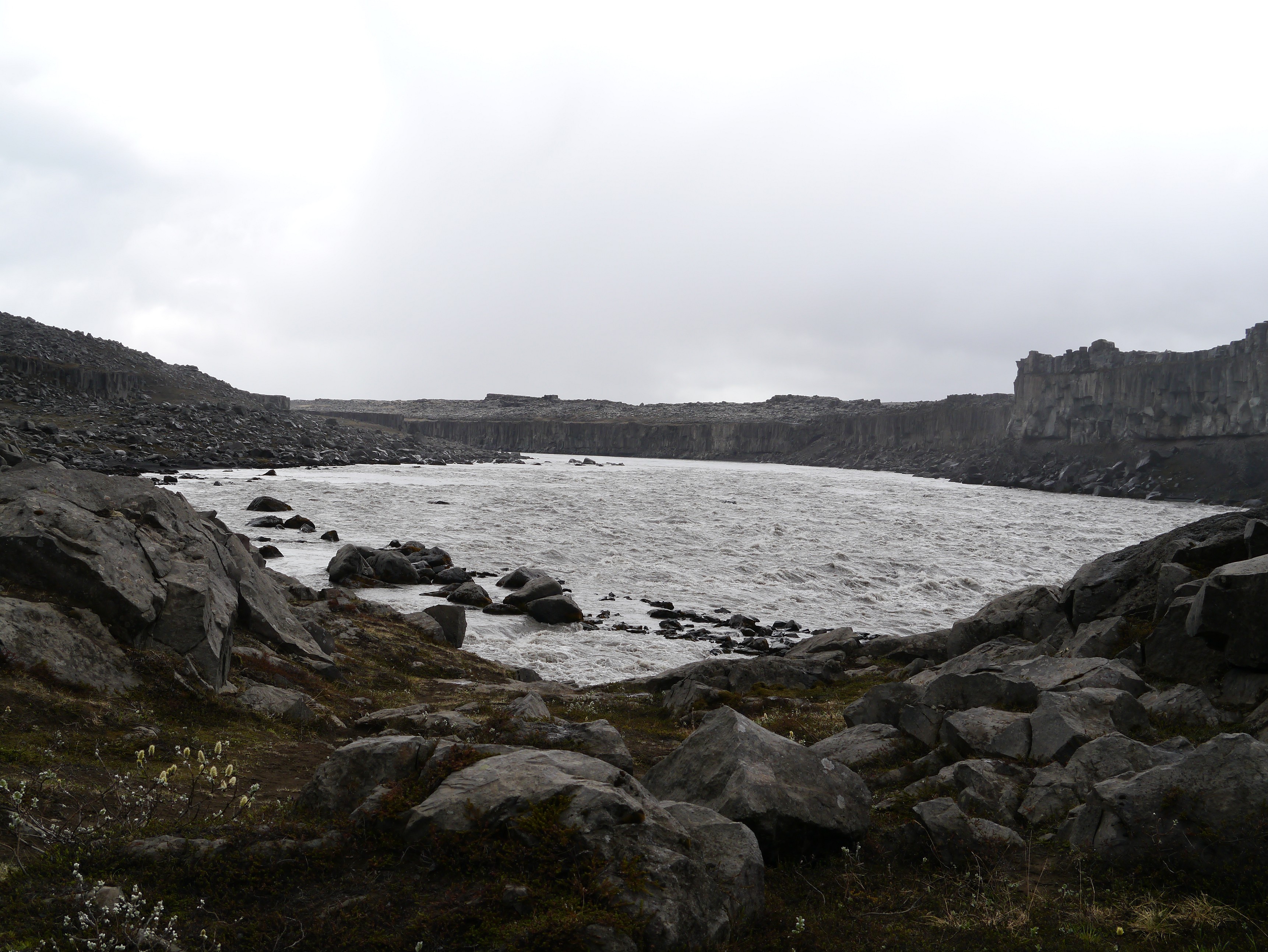 Island Schlucht Ásbyrgi 10