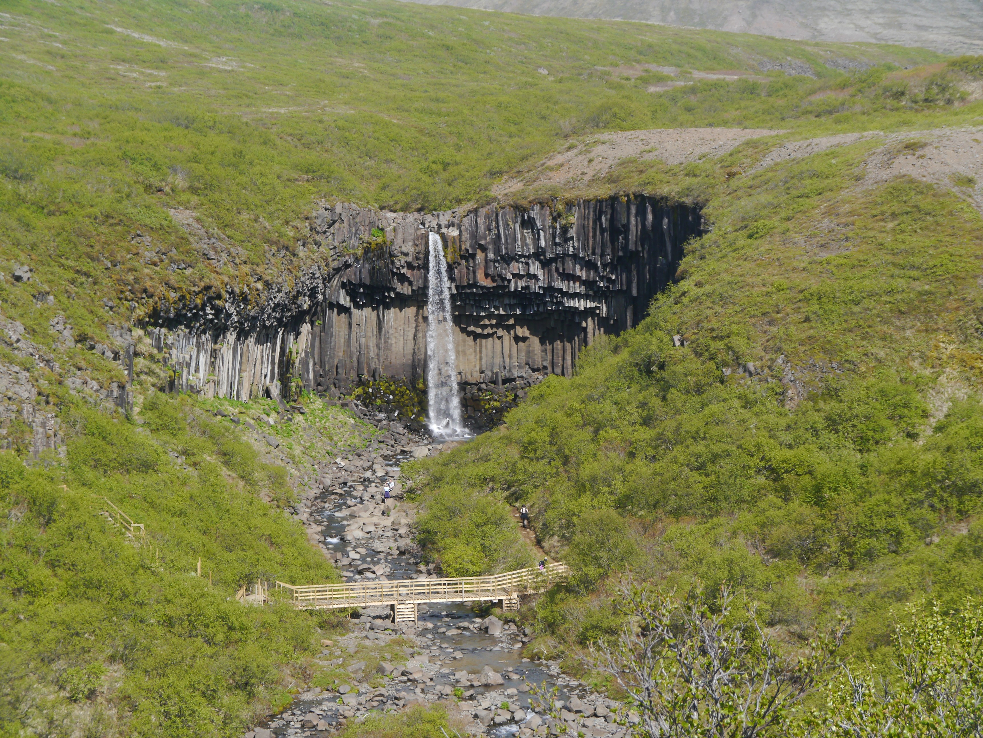 Island Svartifoss 02