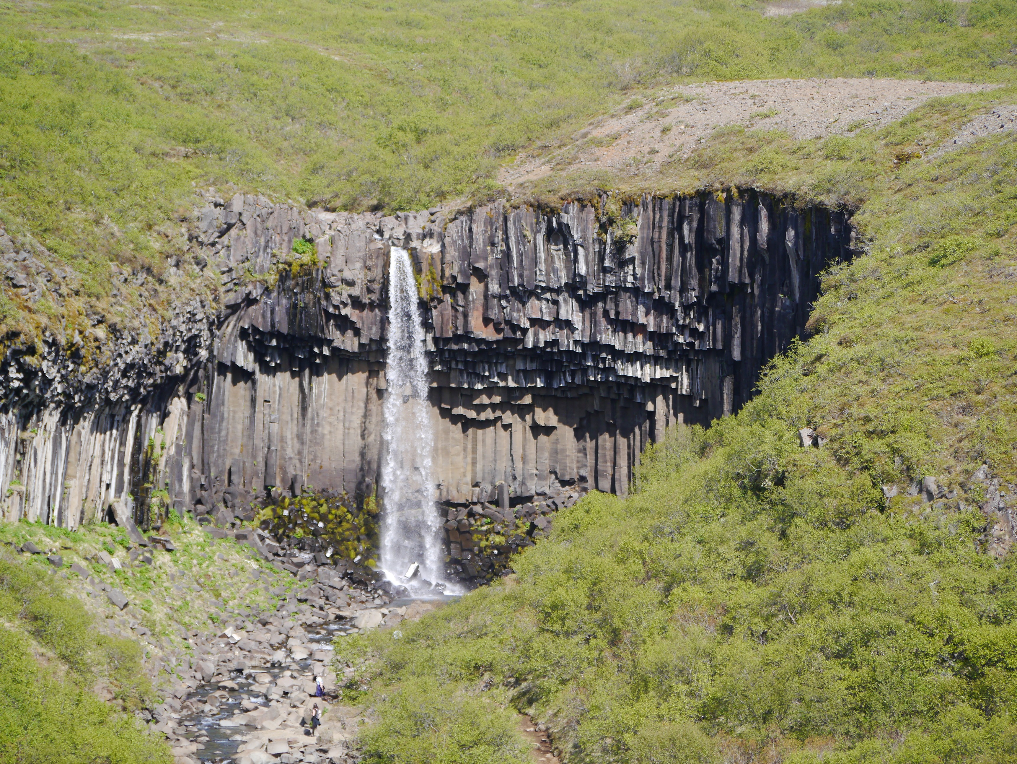 Island Svartifoss 03