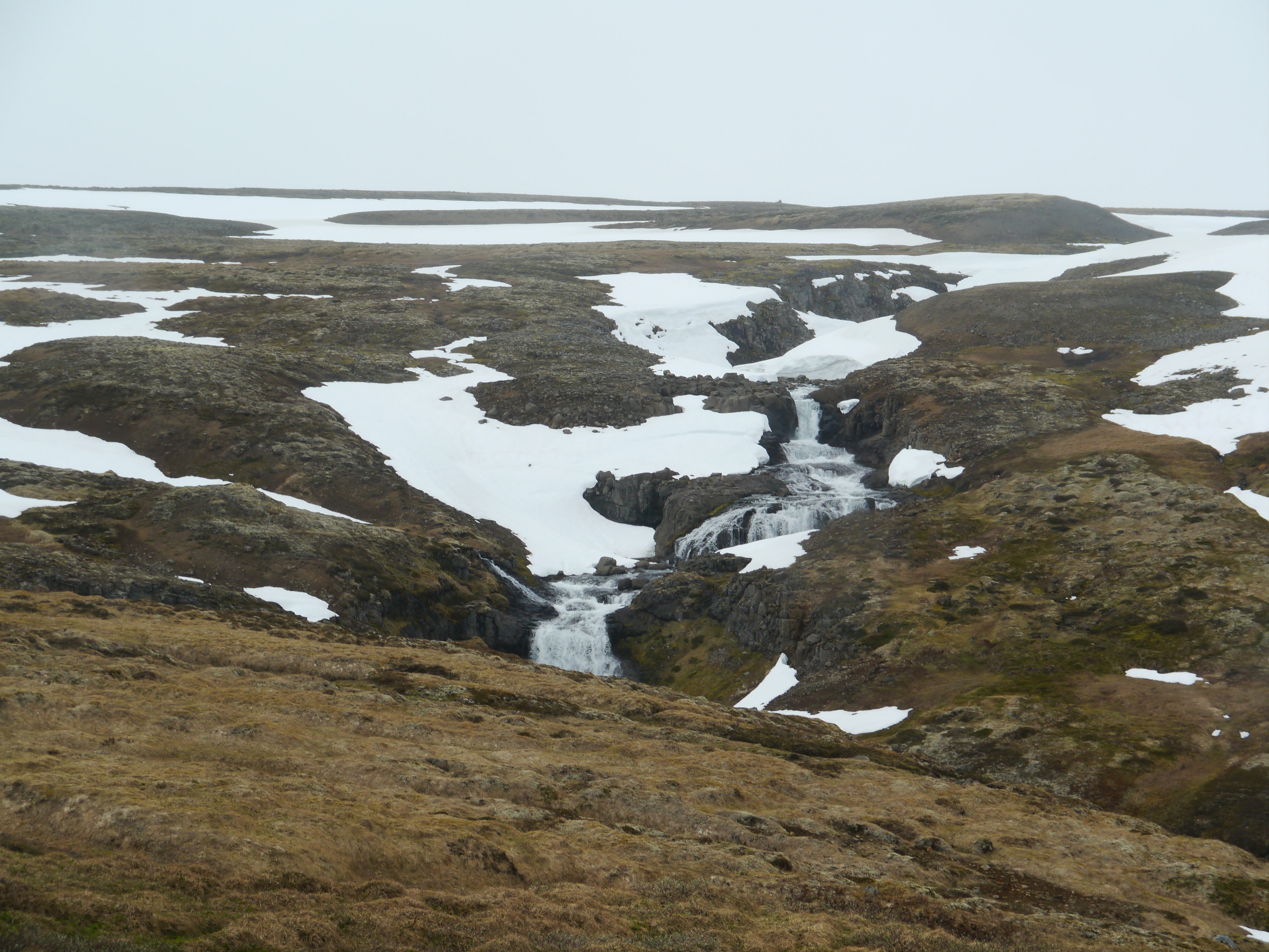 Island Westfjorde 012