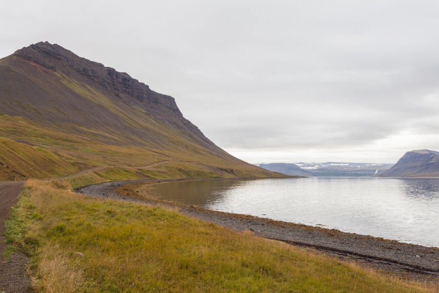 Arnarfjörður, Vestfirðir, Islandia, 2014-08-15, DD 029