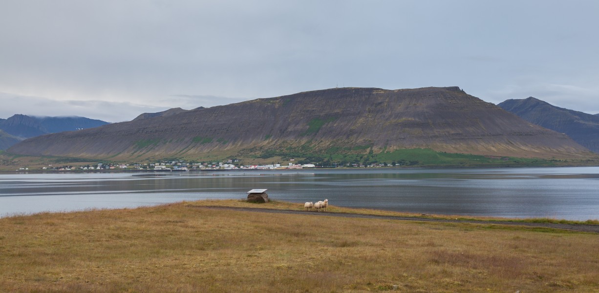 Dýrafjörður, Vestfirðir, Islandia, 2014-08-15, DD 006