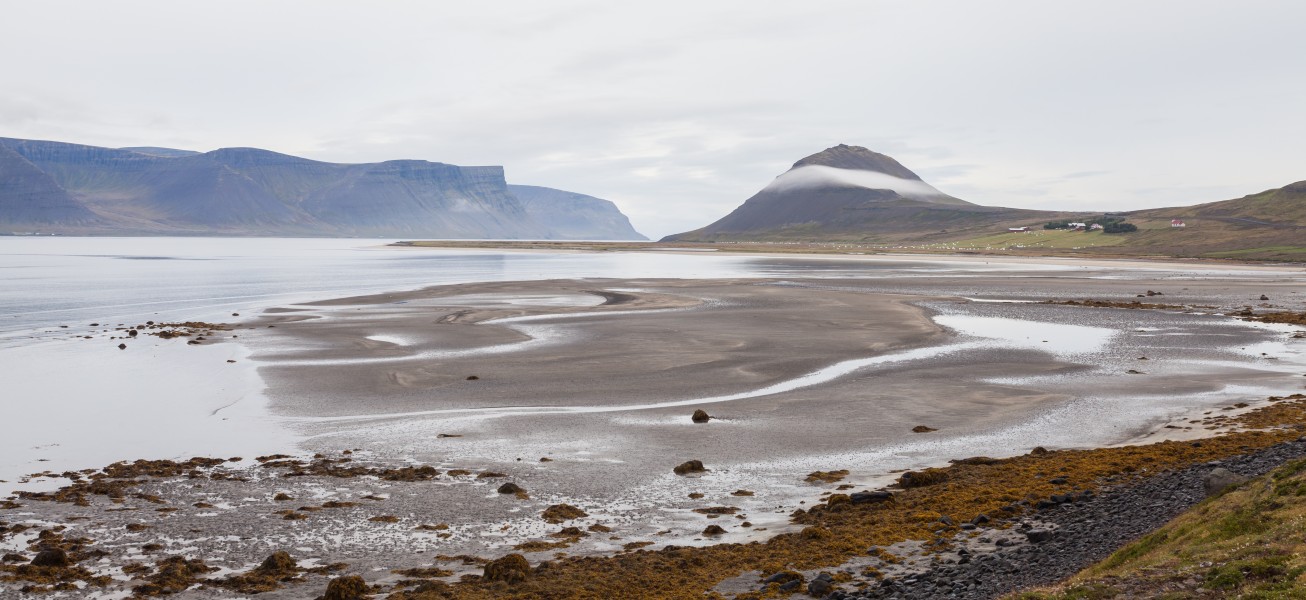 Dýrafjörður, Vestfirðir, Islandia, 2014-08-15, DD 008