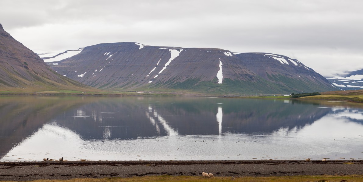 Dýrafjörður, Vestfirðir, Islandia, 2014-08-15, DD 033