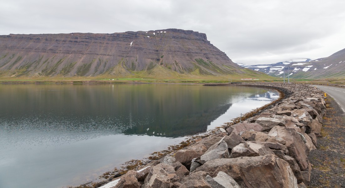 Dýrafjörður, Vestfirðir, Islandia, 2014-08-15, DD 034