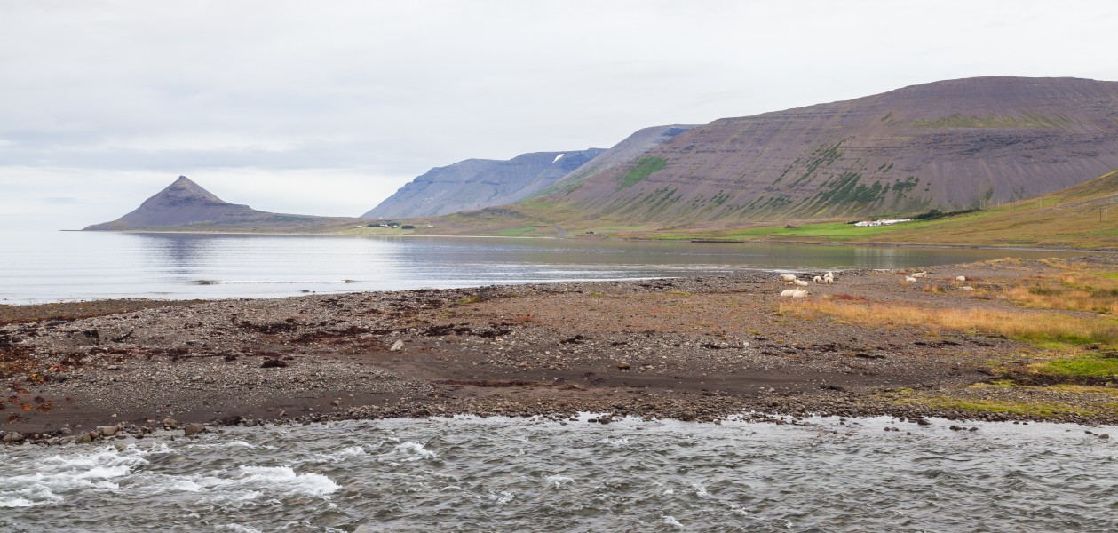 Dýrafjörður, Vestfirðir, Islandia, 2014-08-15, DD 044