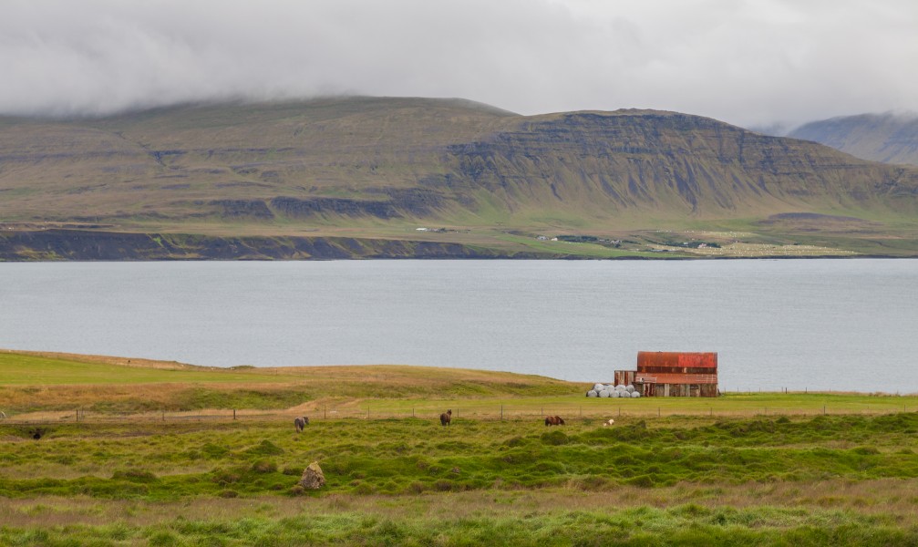 Granja en la península de Akranes, Vesturland, Islandia, 2014-08-15, DD 104